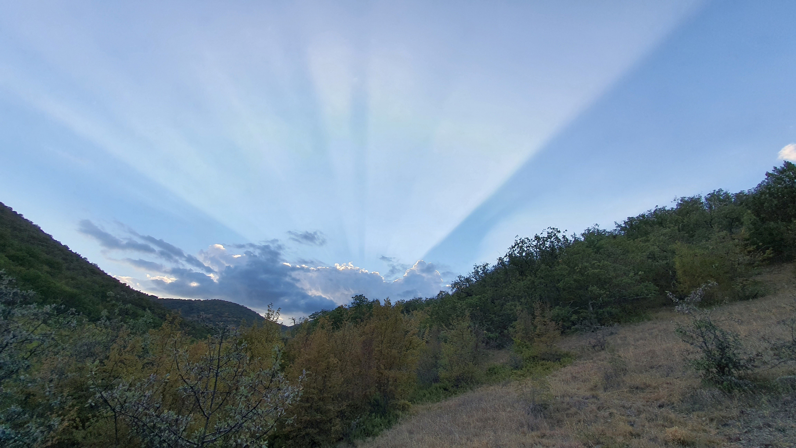 Мобильная фотография. Фотохудожник BID