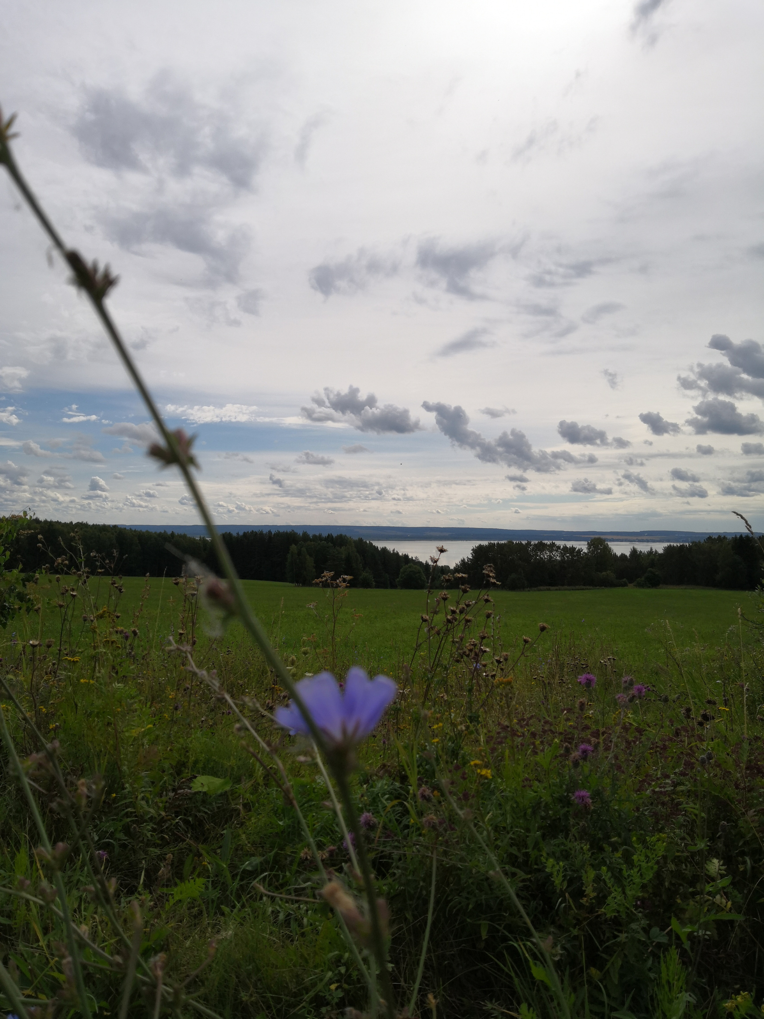 Мобильная фотография. Фотохудожник BID