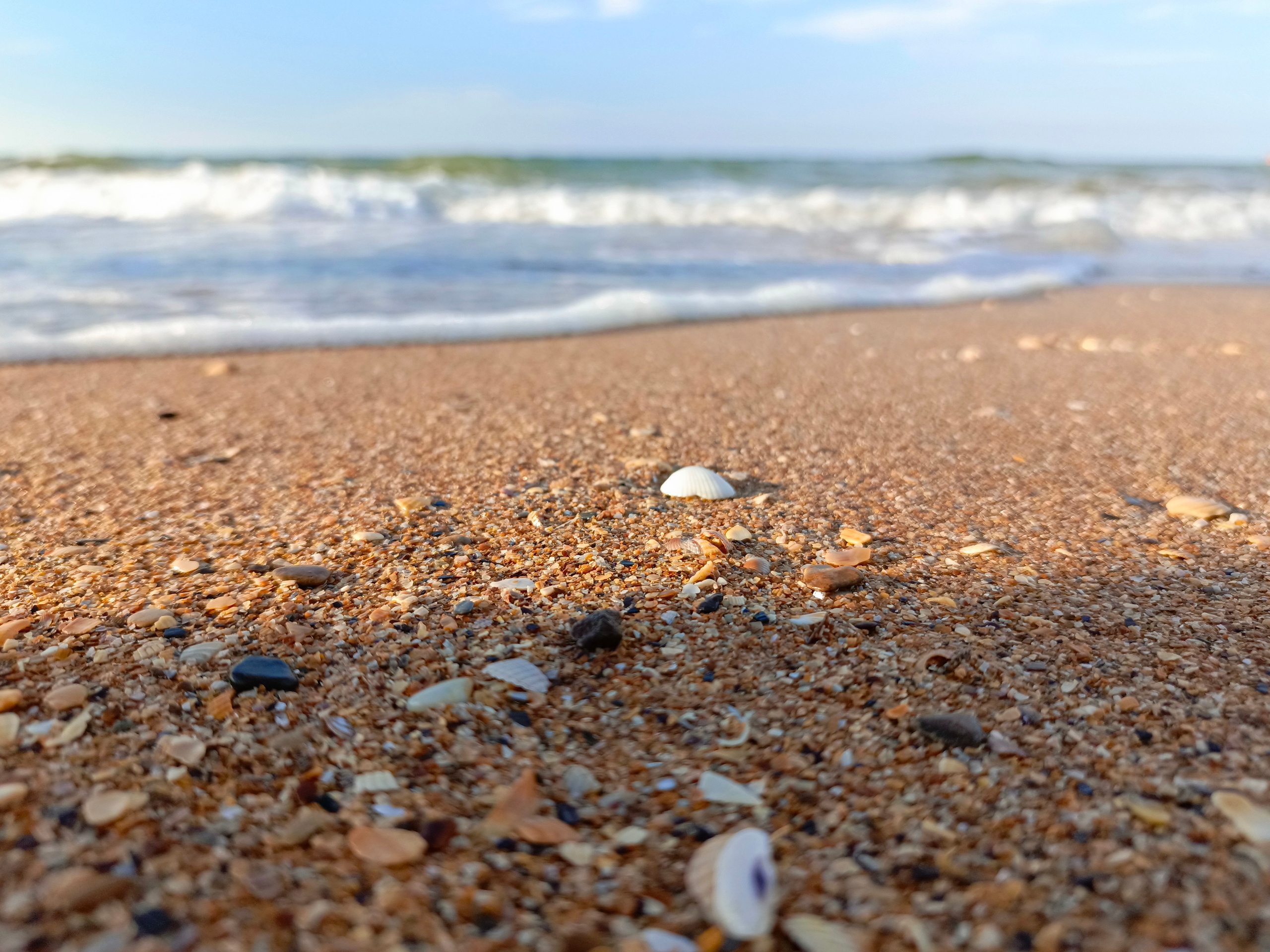 Краснодарский край 2023 Мобильная фотография. Фотохудожник BID