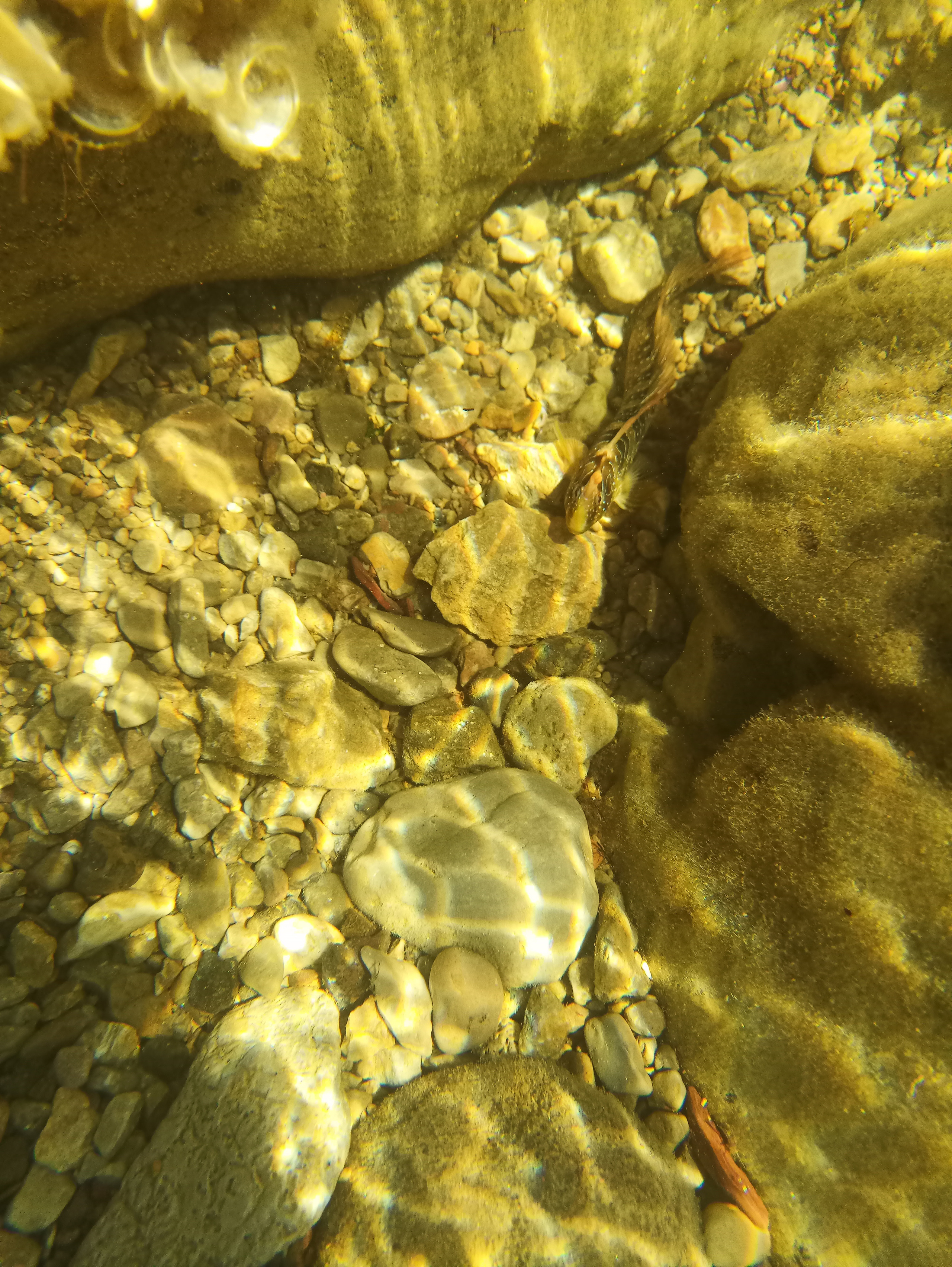 Мобильная фотография. Фотохудожник BID