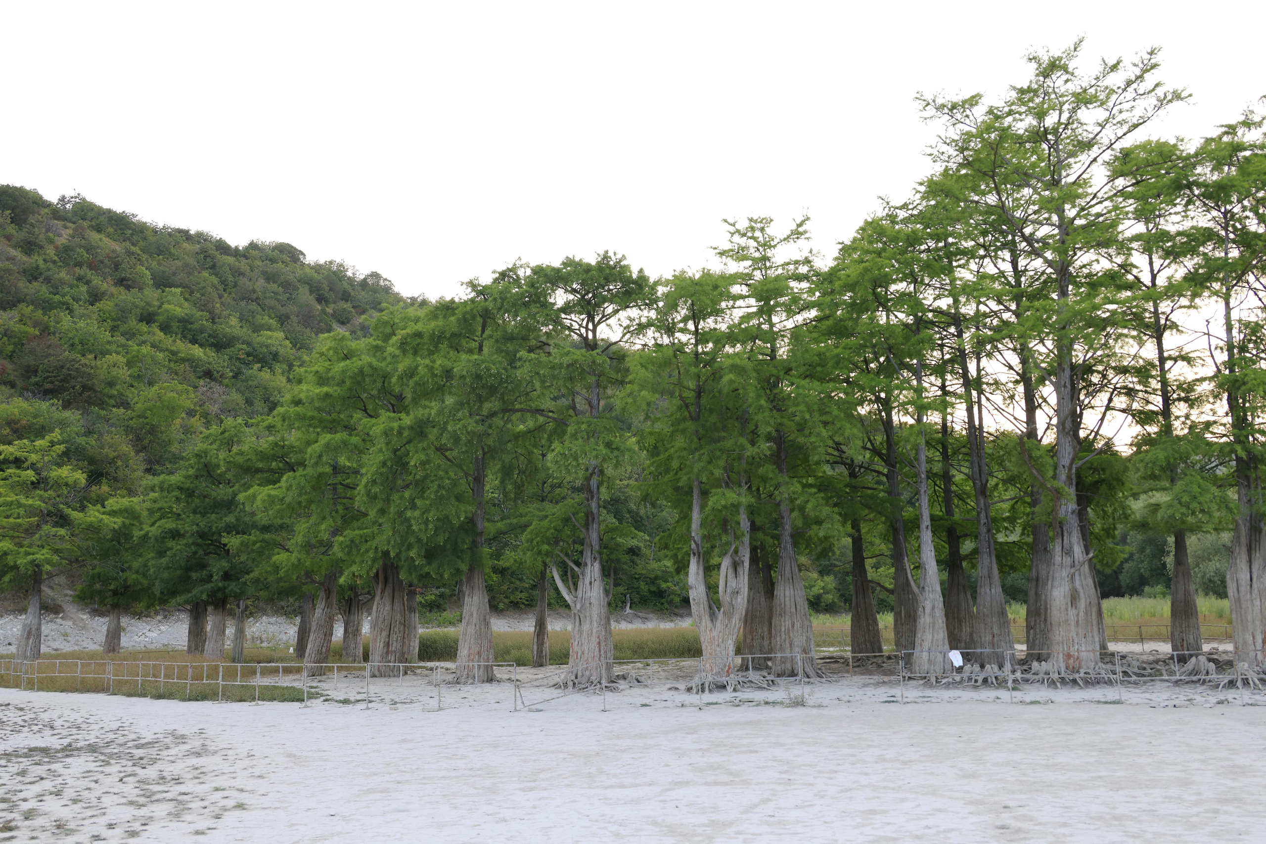 Краснодарский край 2023. Фотохудожник BID