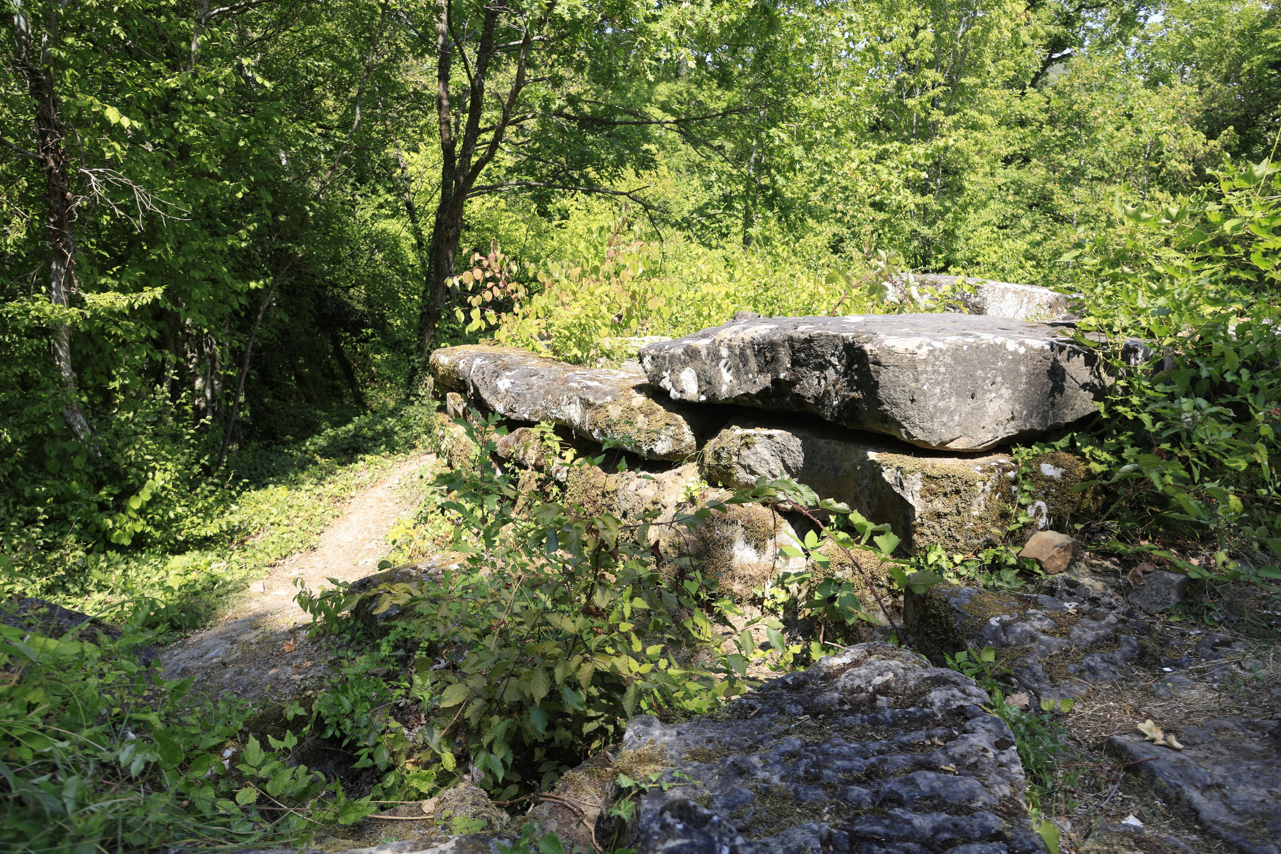 Дольмены около Абрау-Дюрсо 2023. Фотохудожник BID