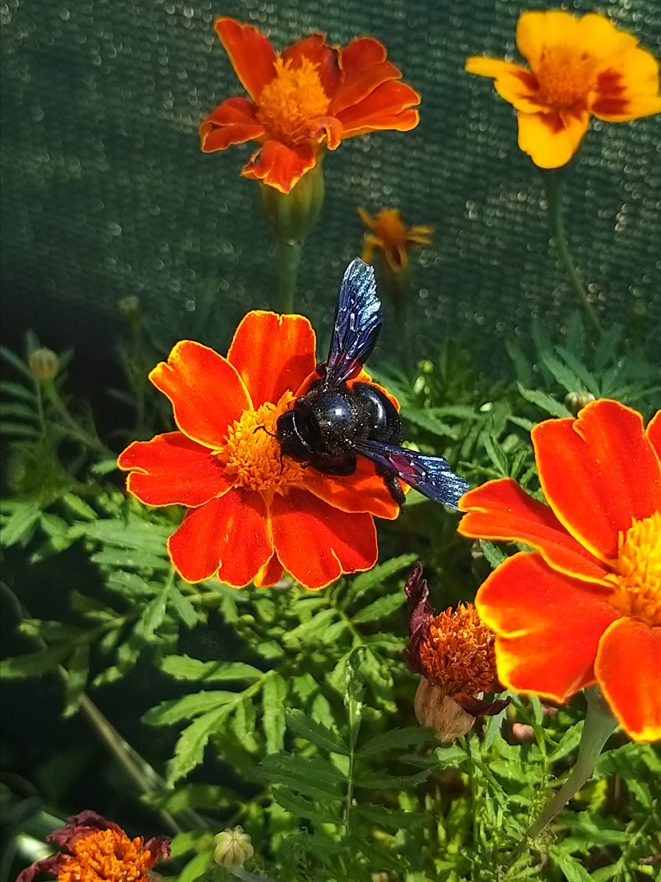 Крым. Фото разных лет. Фотохудожник BID