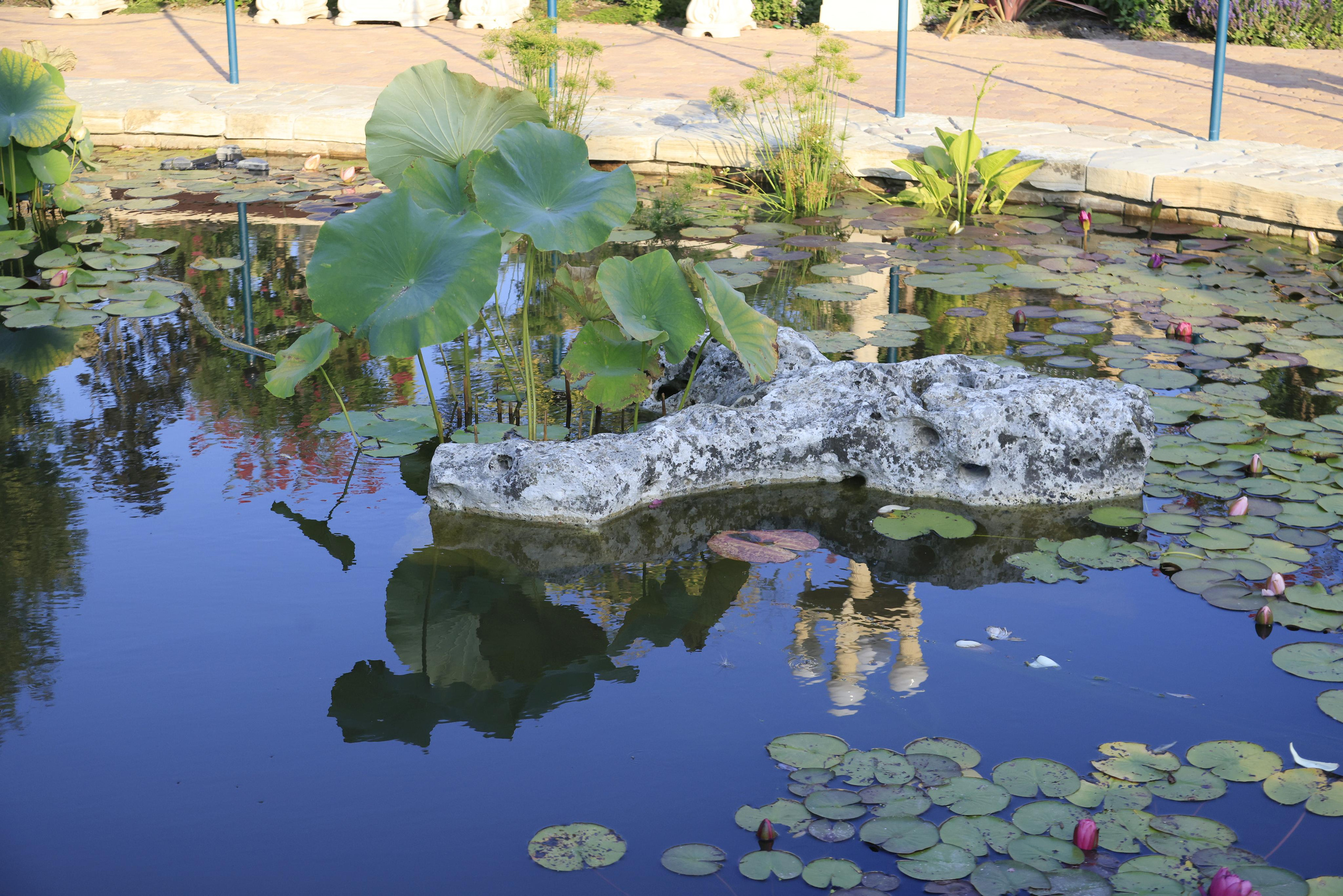 Старый парк. Кабардинка. 2023. Фотохудожник BID