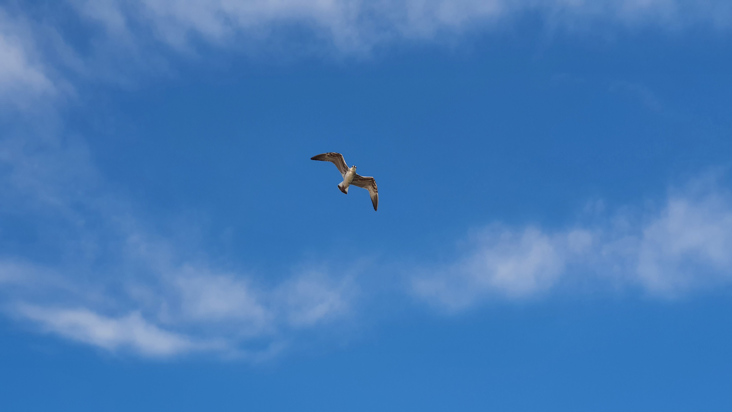 Крым. Фото разных лет. Фотохудожник BID