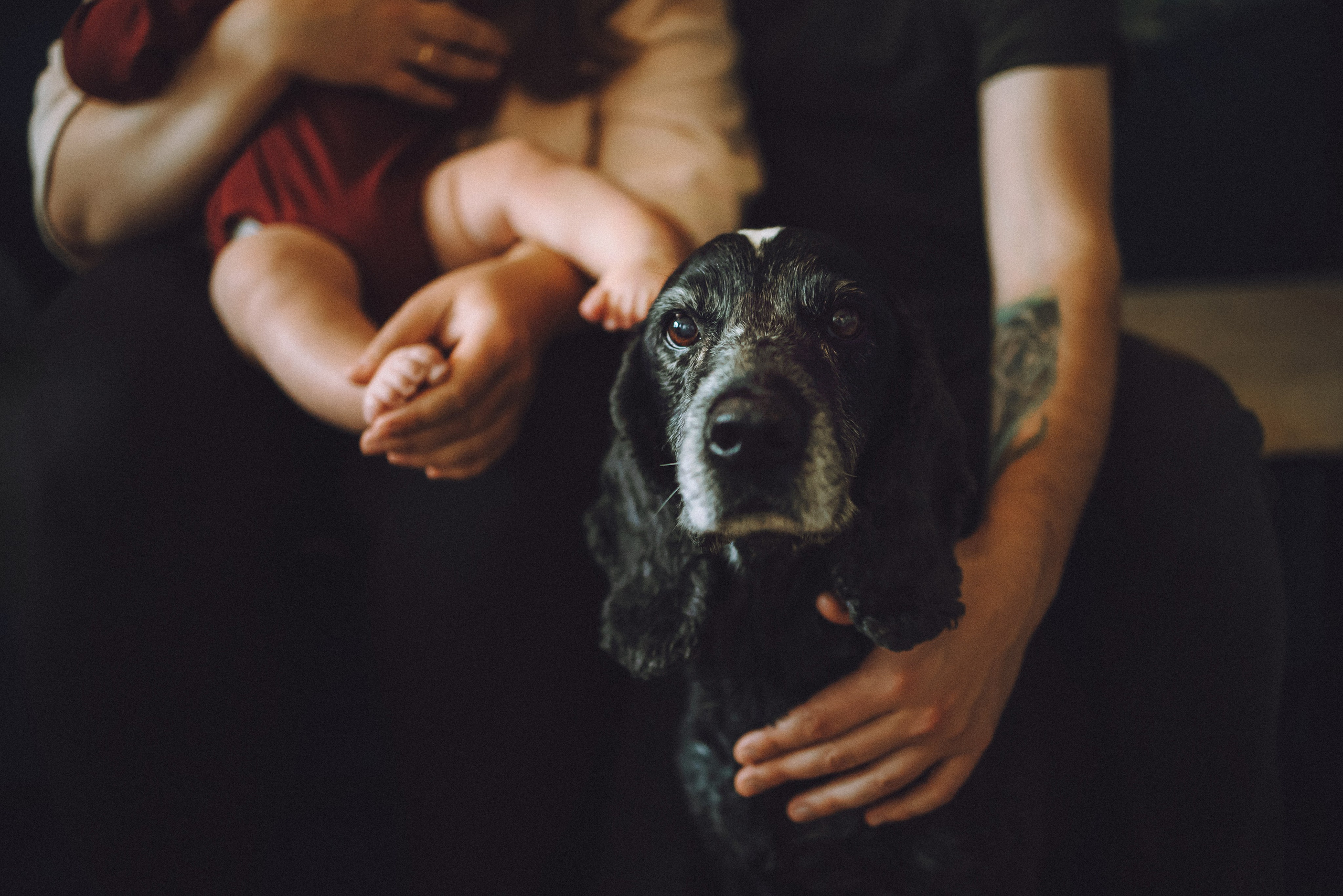 Топик и его семья