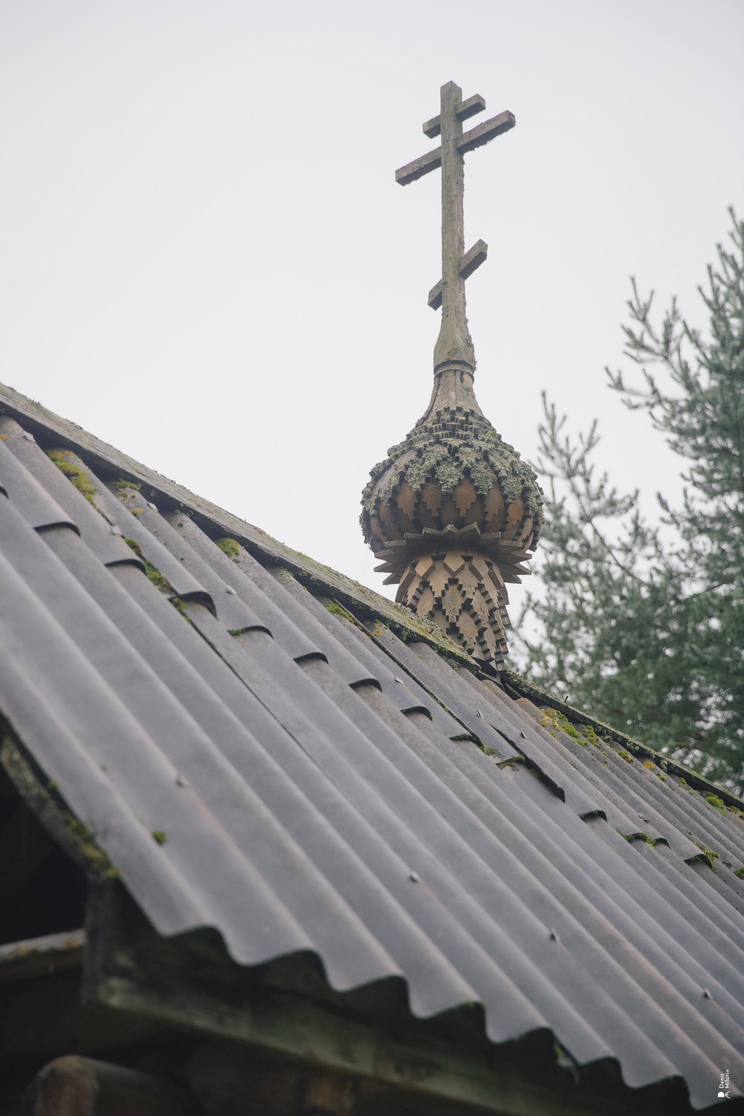 Женский Митрофаниевский скит Важеозерского мужского монастыря. Портретный фотограф Денис Милютин