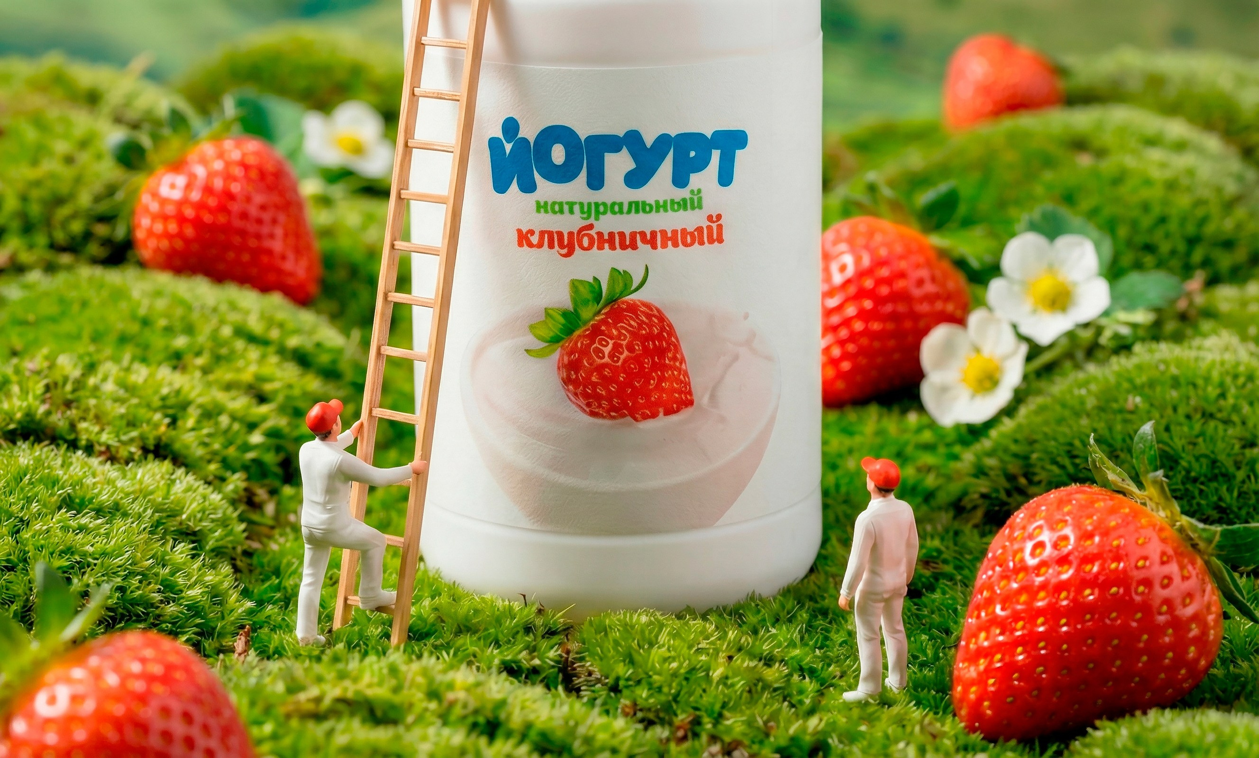 Профессиональная фотосъемка для меню баров и ресторанов. Фотограф Новосибирск /предметный фотограф www.kazakovtsevstudio.com