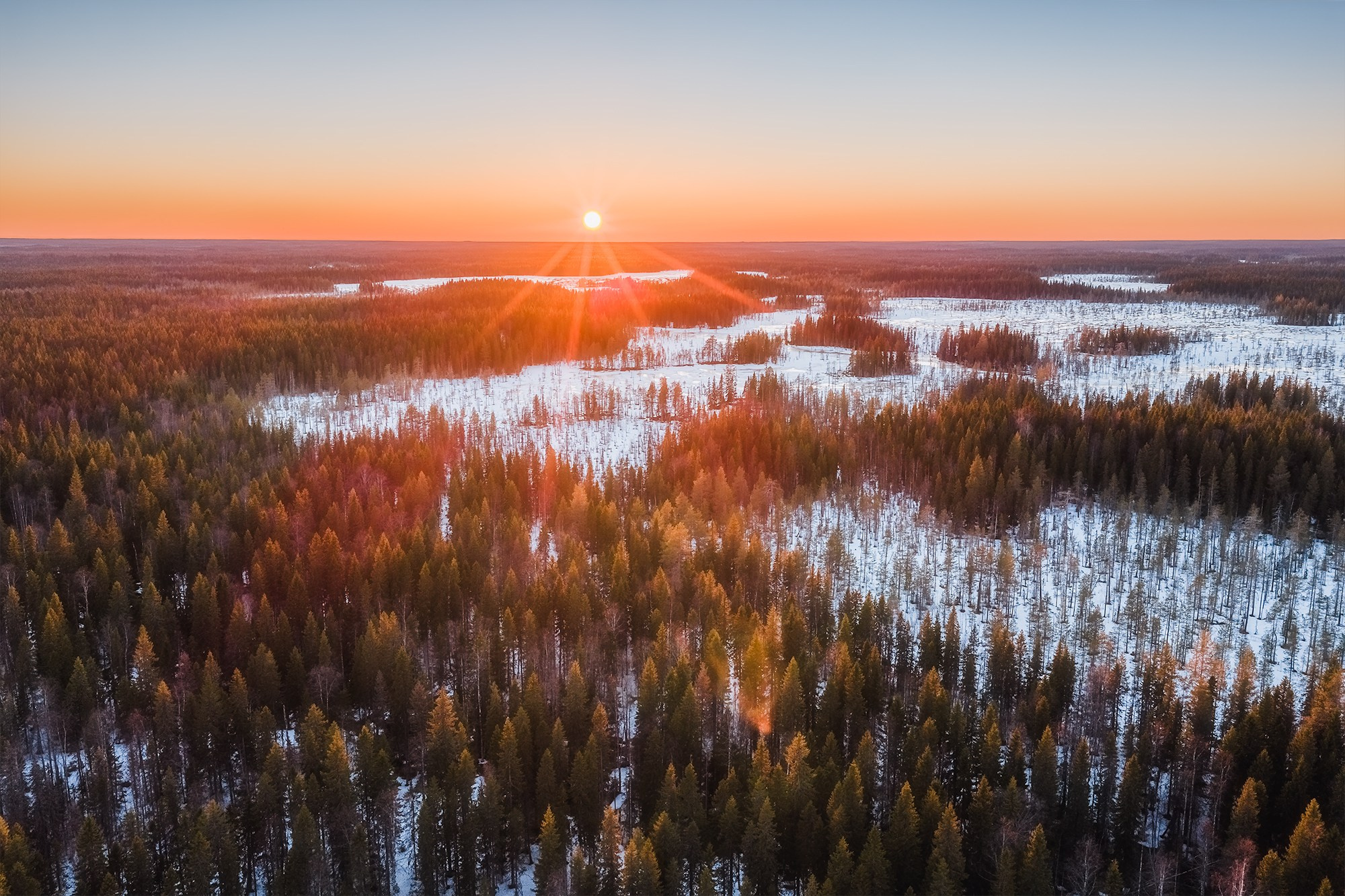 Весна в лесу. Фотосъемка в Архангельске, фотограф Александр Ермолин