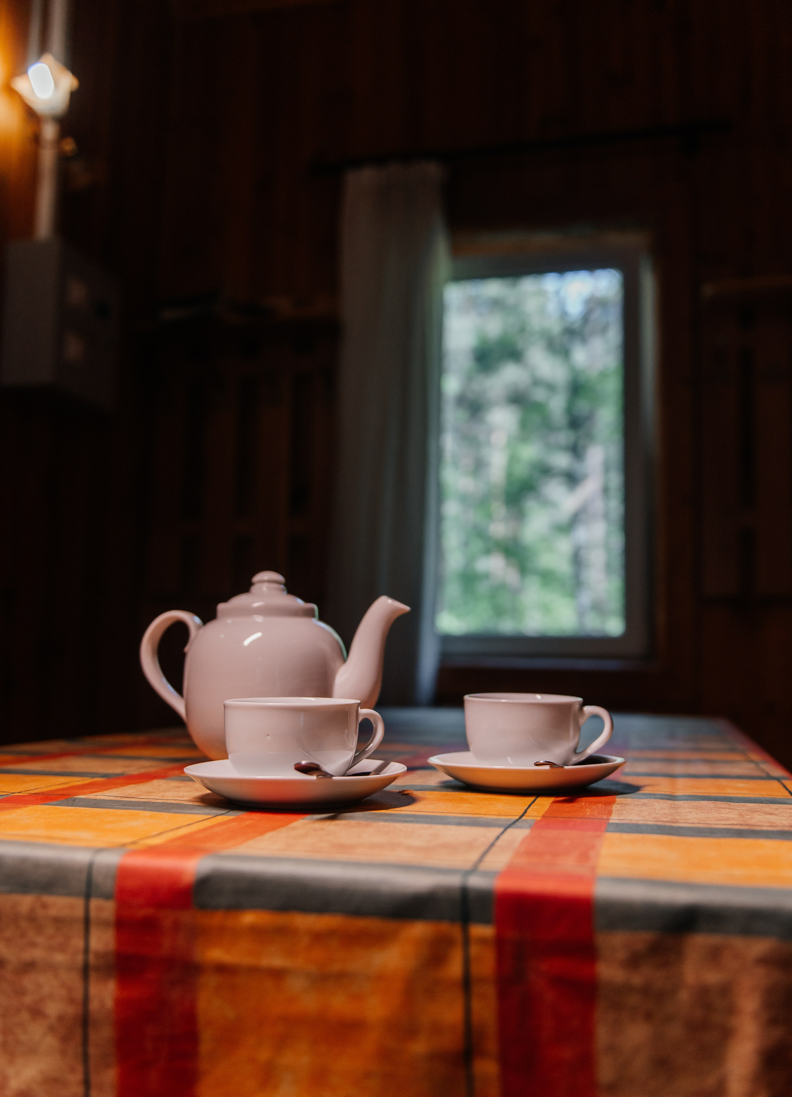 База «Бирюза». Свадебная  съемка на Алтае