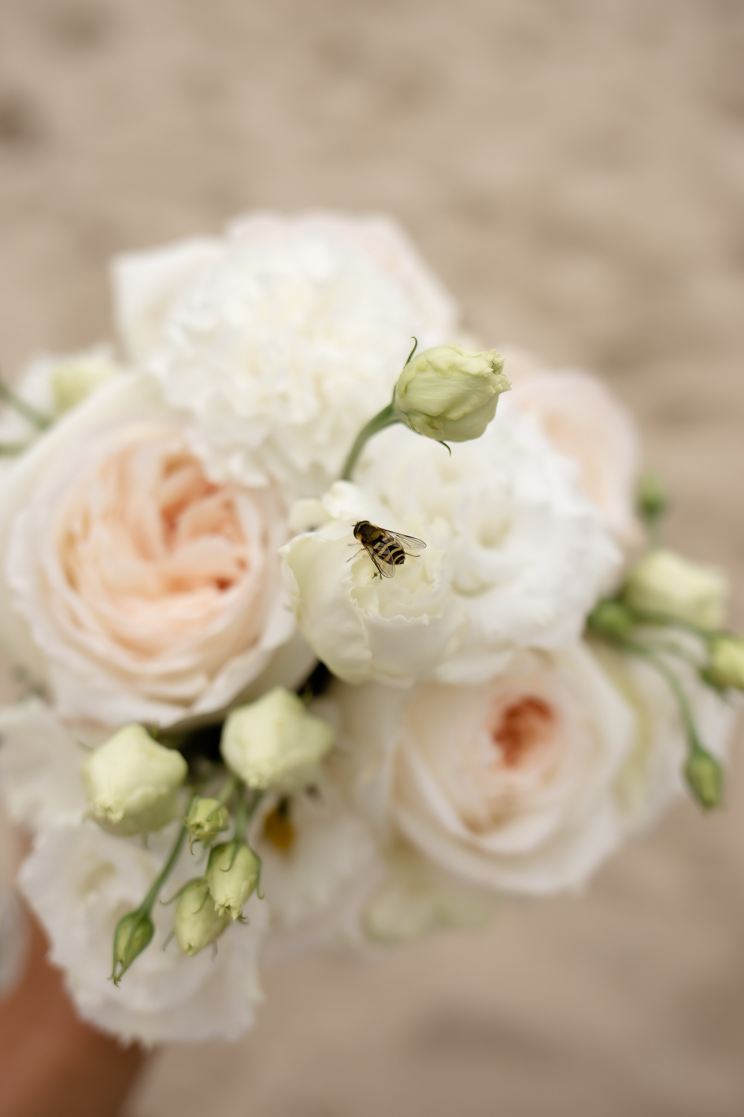 Кристина и Коля. В Зеленоградске. Фотограф в Калининграде Решетникова Алина