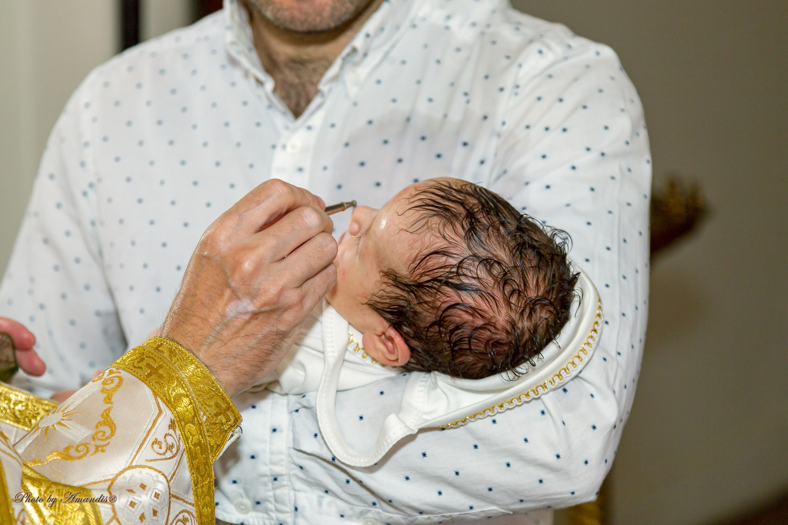 Крещение в д. Еганово (август 2024). Репортажная съемка в Москве и области. Анималистика