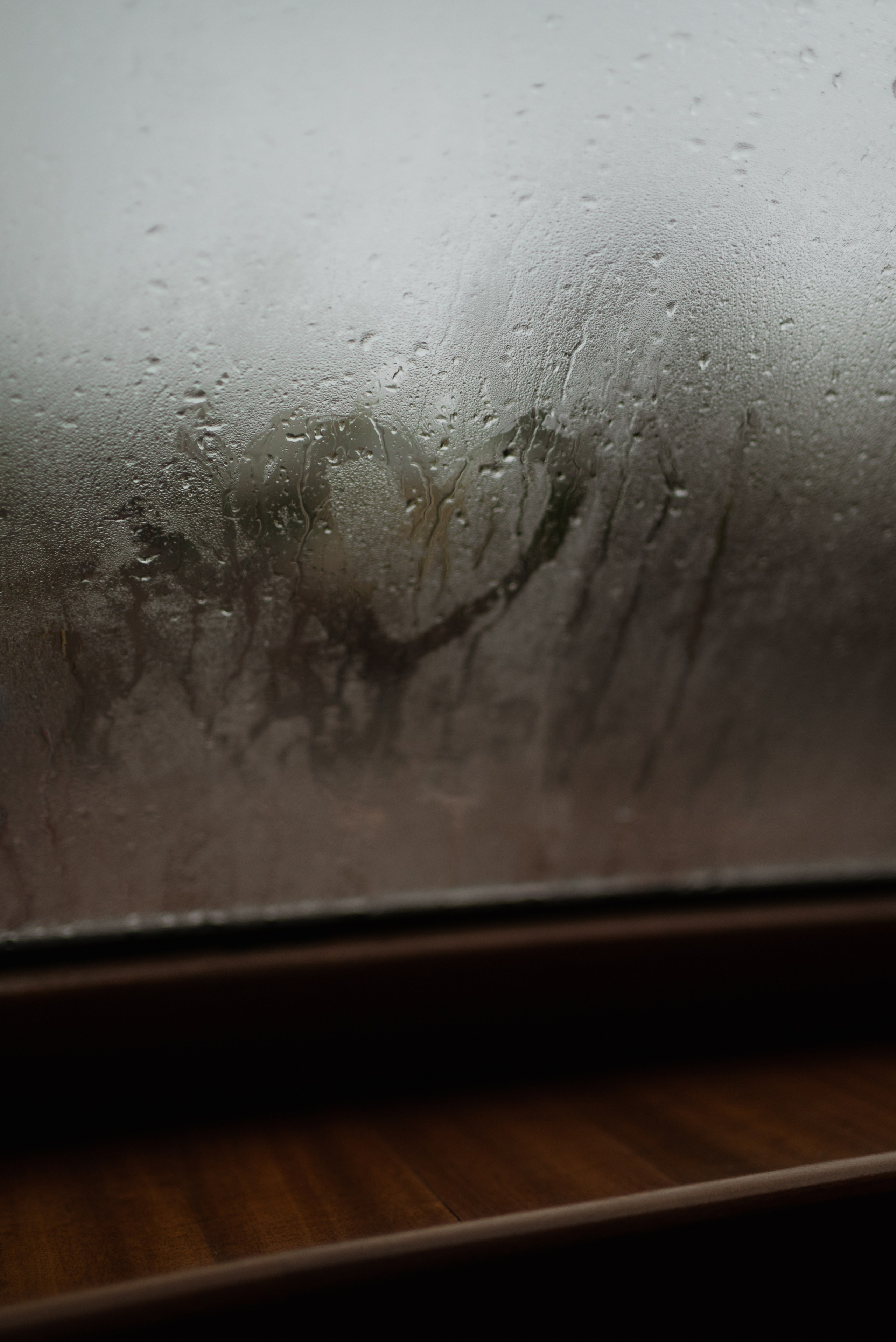 Александр и Варвара | 06.05.25. Свадебный фотограф в Санкт-Петербурге Владислава Тюльпина