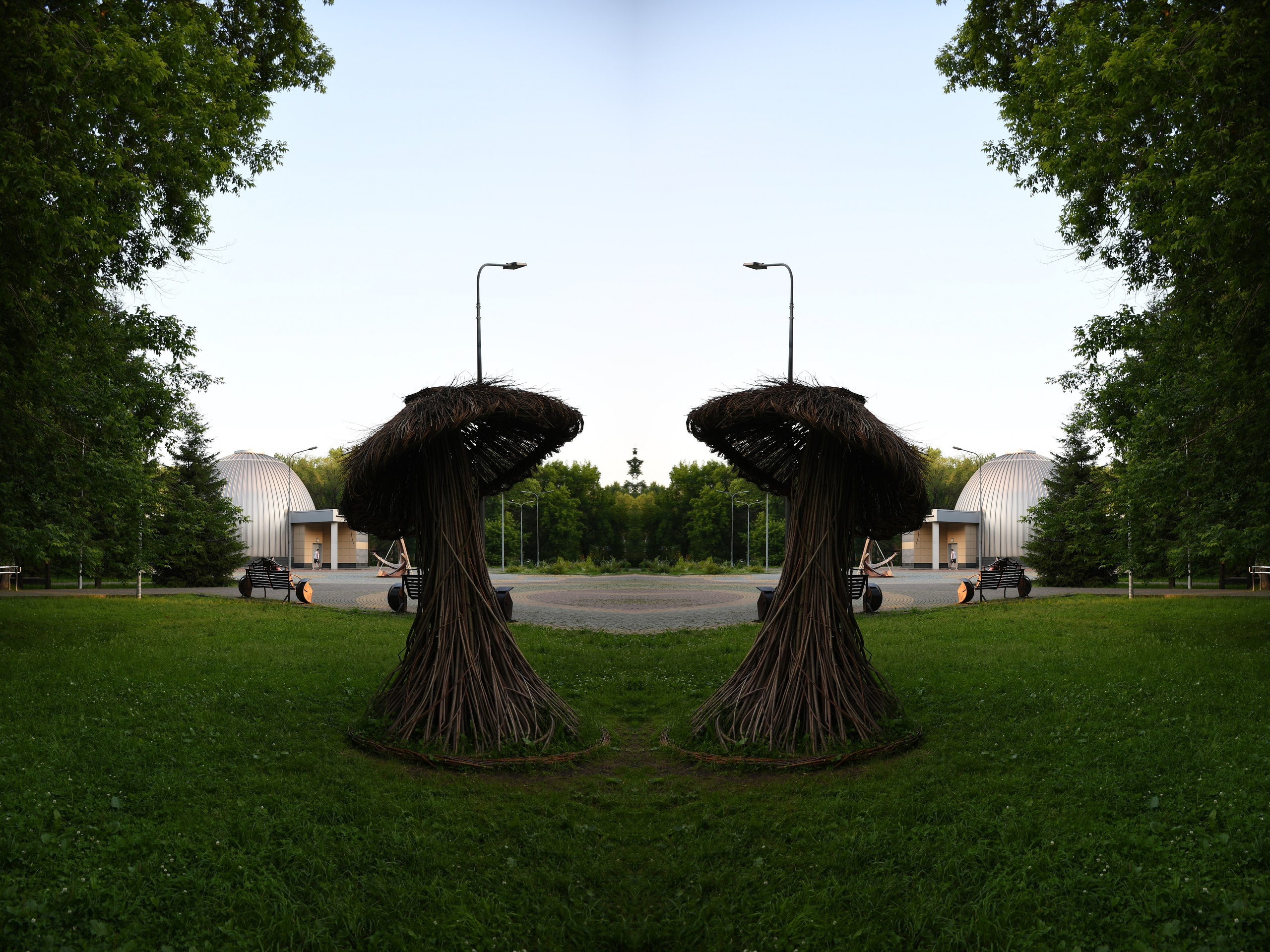 Urban flowers. Арт — фотограф Евгений Наймушин Новокузнецк