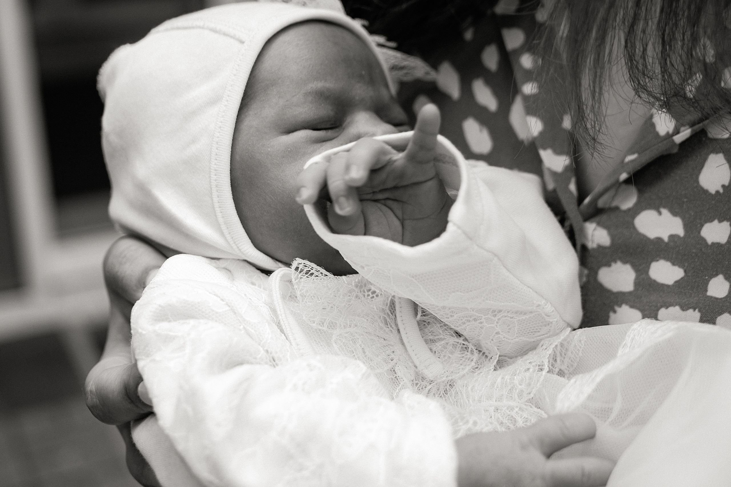 Выписка. Https://malovafoto.ru