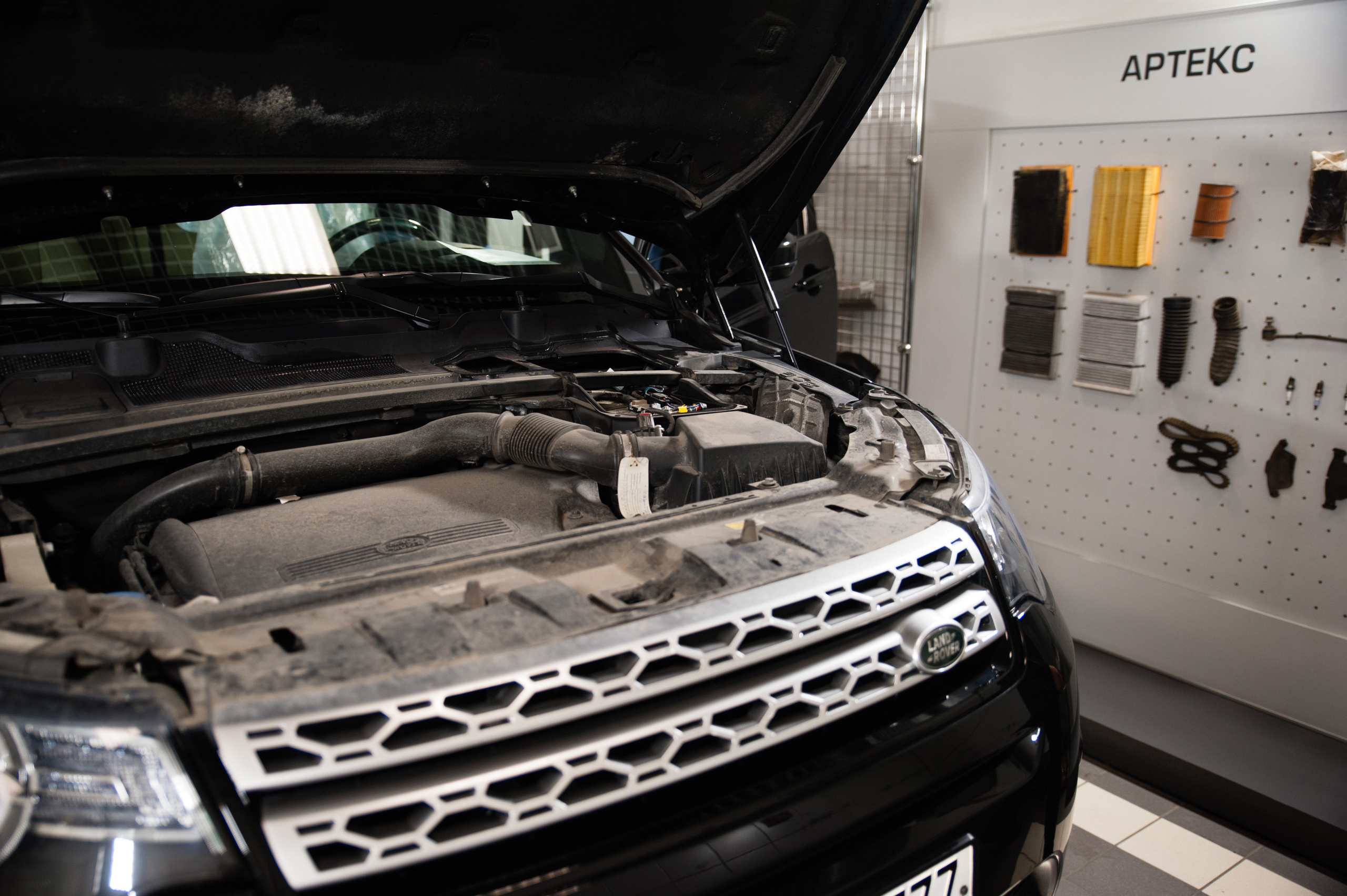 Артекс. Профессиональный фотограф в Москве Александра Харламова