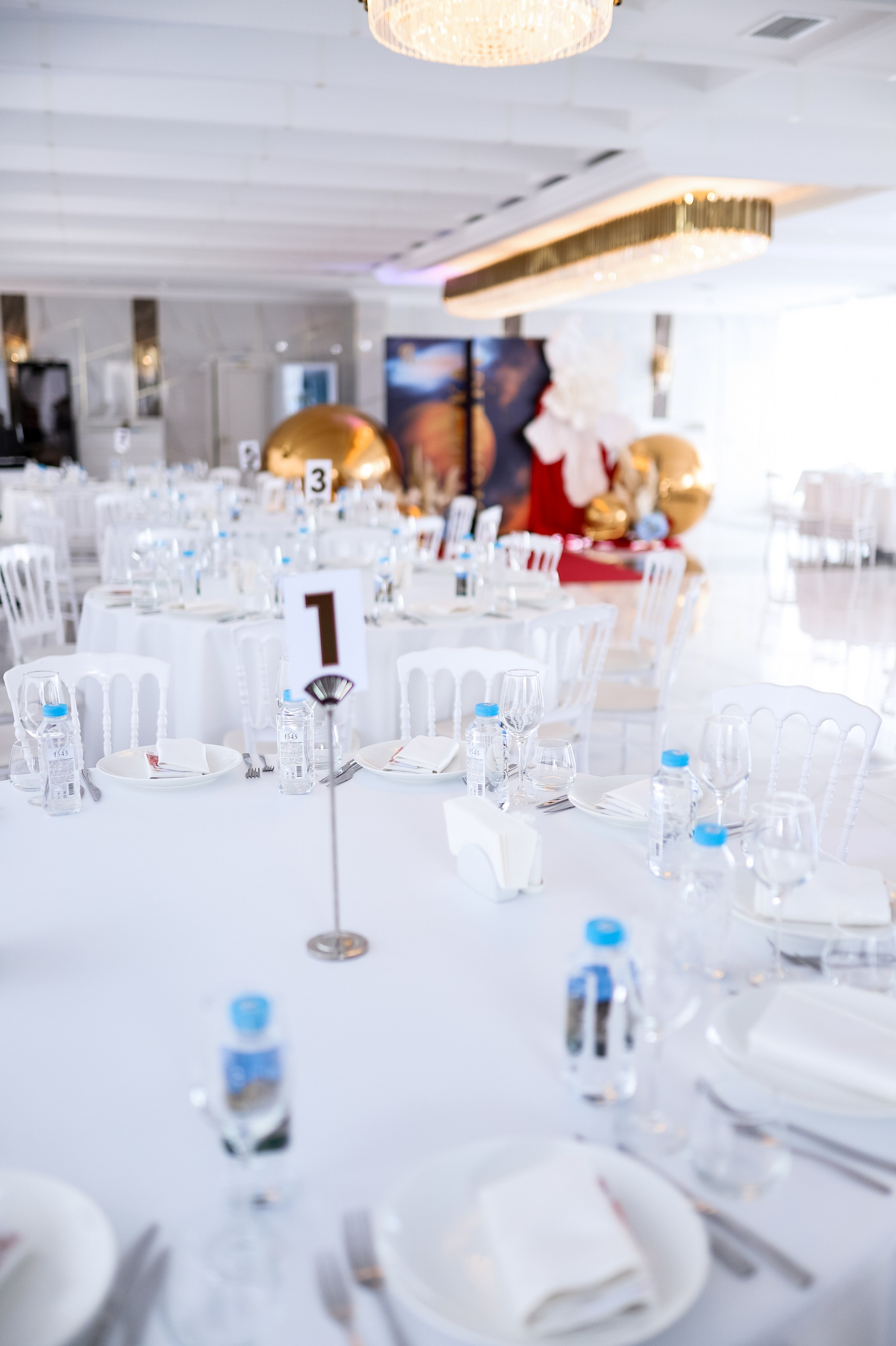 Роскошный вечер Наталии Карамянц