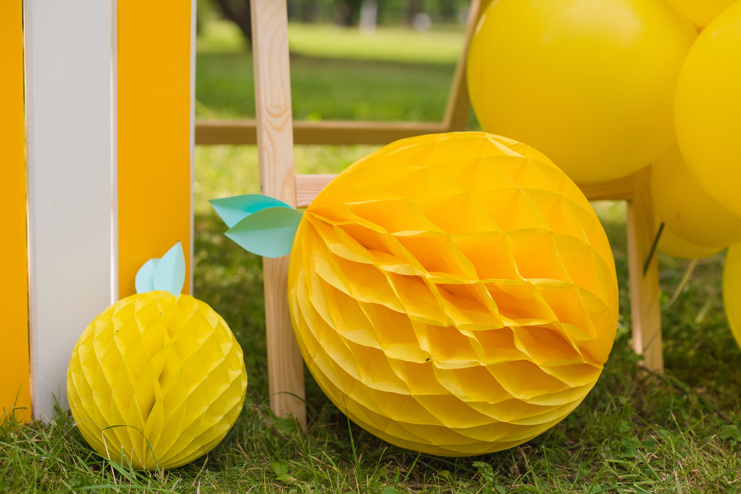 Hello! Summer!. Семейный фотограф в Санкт-Петербурге Любовь Савкина