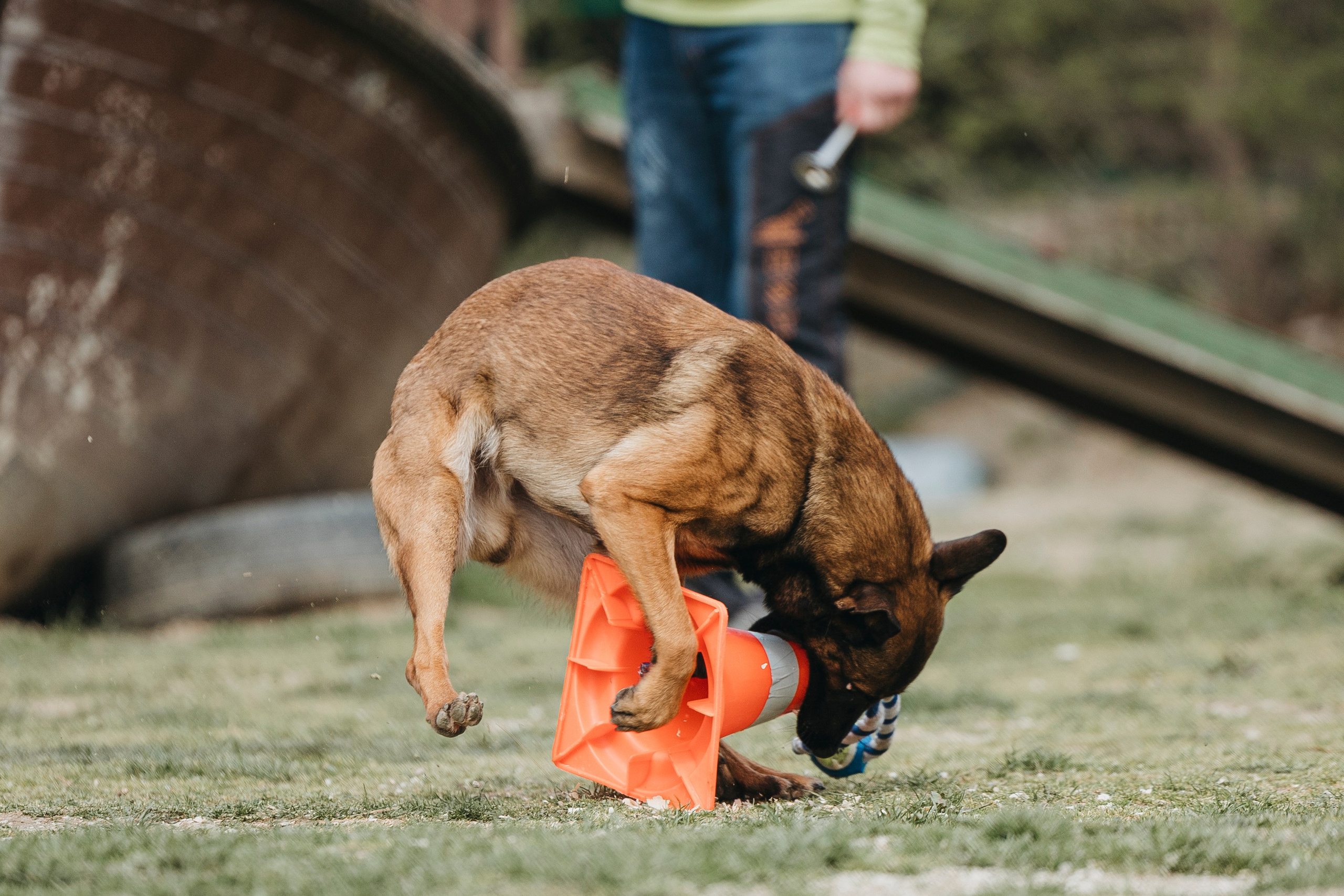 Геленджик Мондьоринг. Фотограф-анималист Анна Маринич