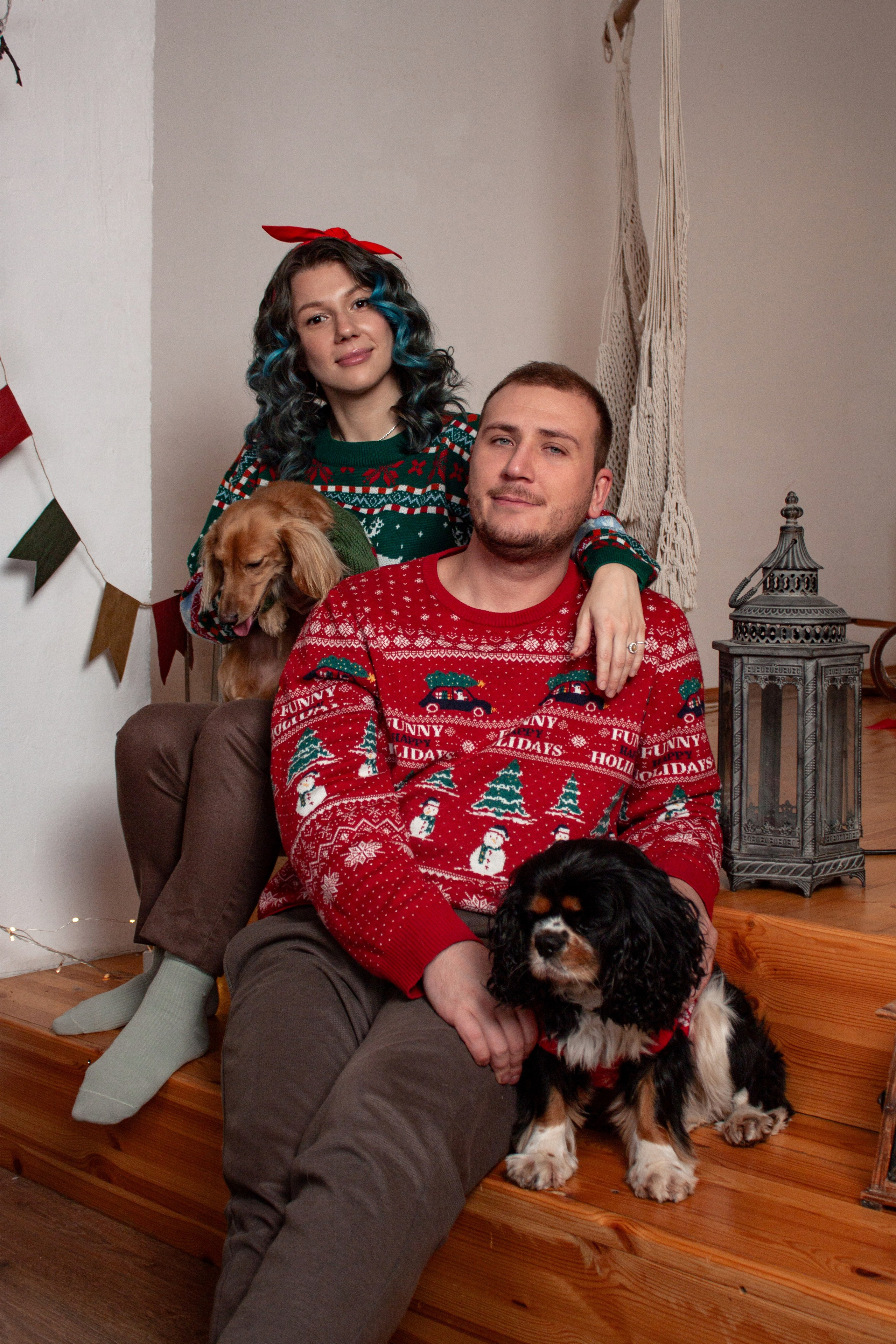 Новогодние собаки. Фотограф в Санкт-Петербурге Рейдер Дарья