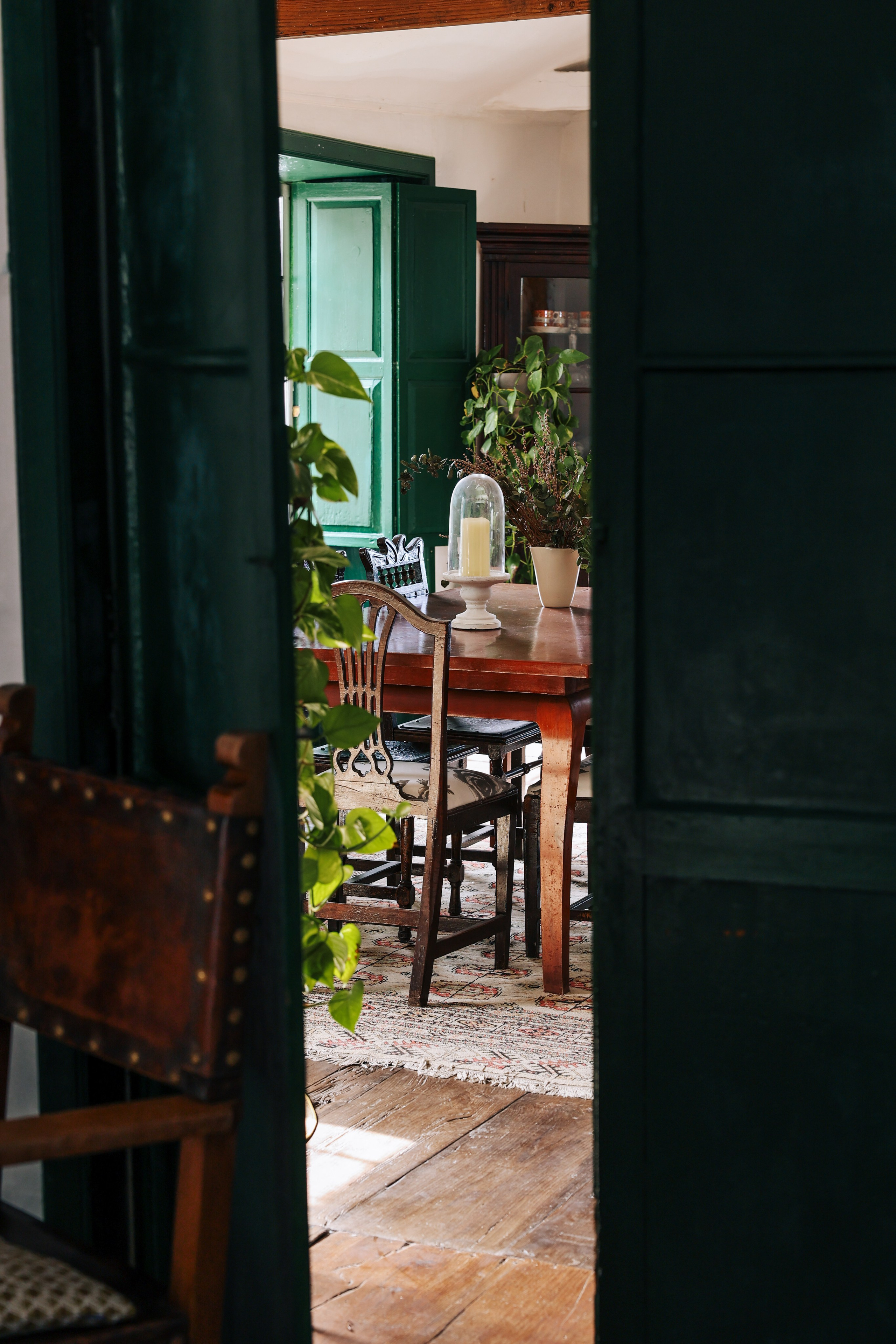 Emblemática Los Helechos. Фотограф Виктория Волкова. Москва