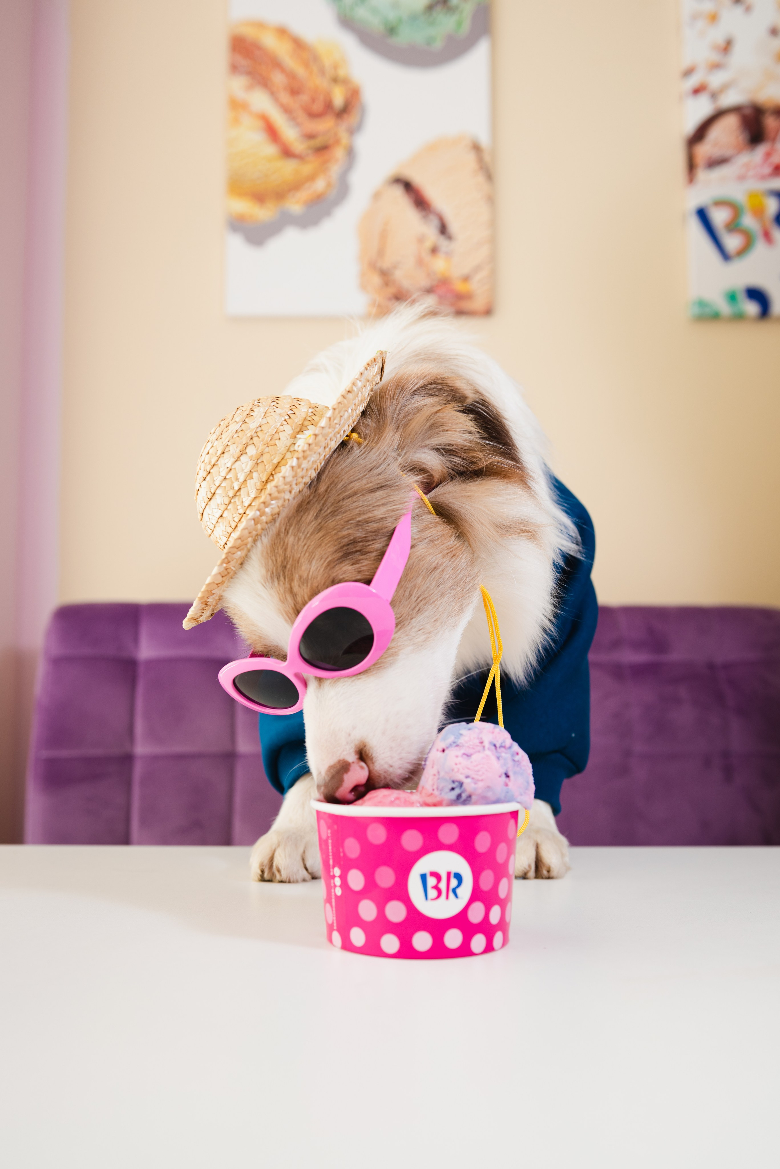 Pets. Фотограф в Москве Daria Lens