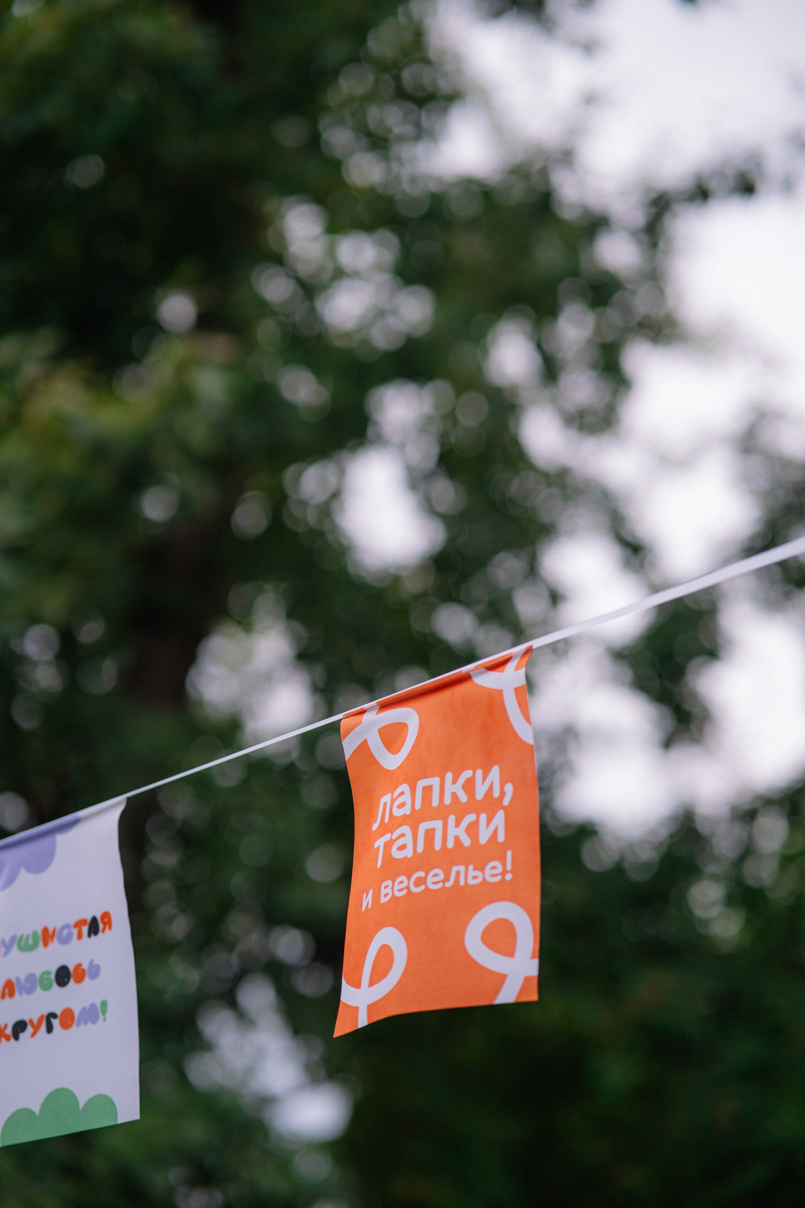 Фотоотчет ЛАПКИ ТАПКИ в Барнауле. Репортажный (Event) фотограф в Барнауле | Даниил Маркин | Качество и вайб