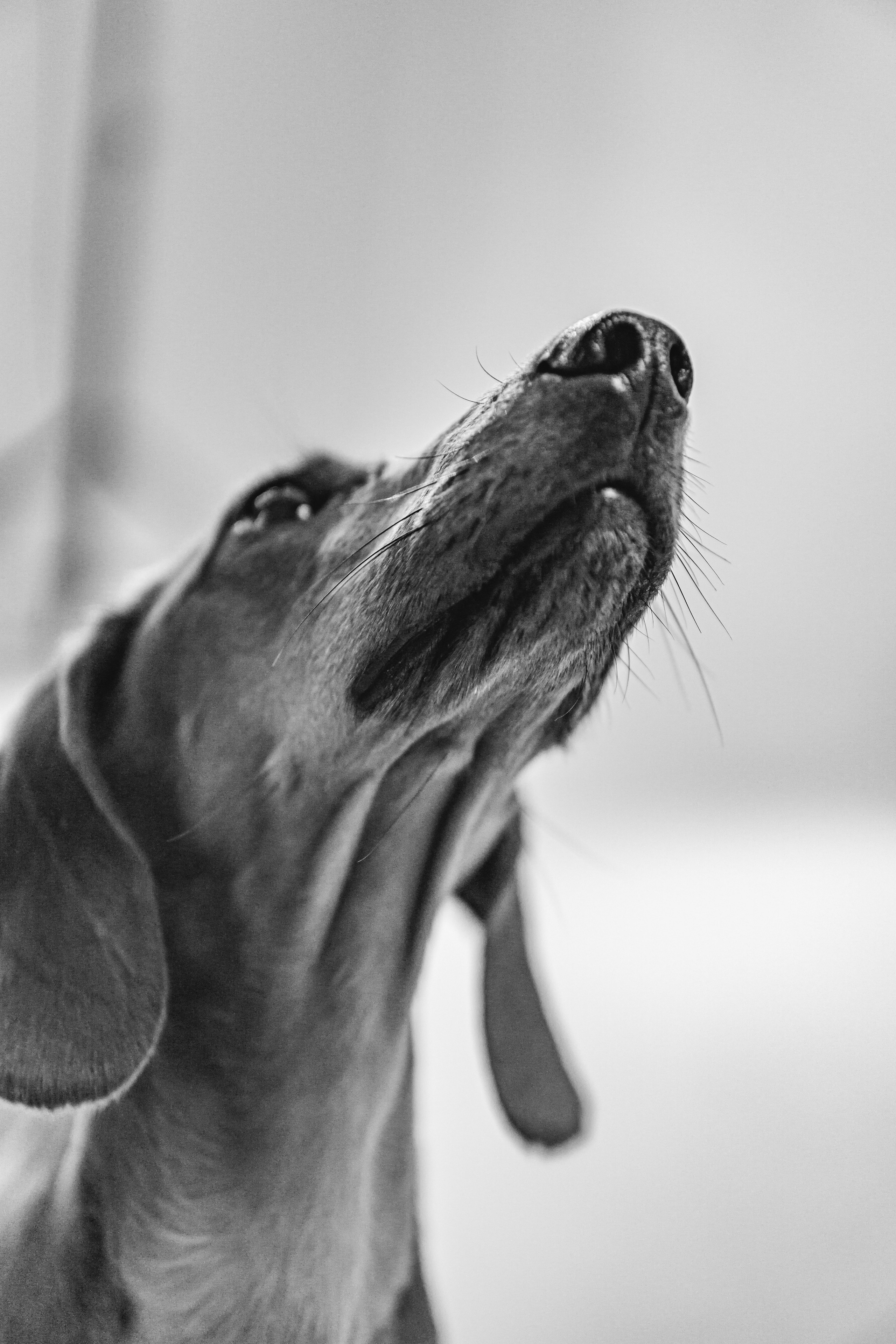 Анна и Сальвадор. Фотограф в Москве Юлия Першина