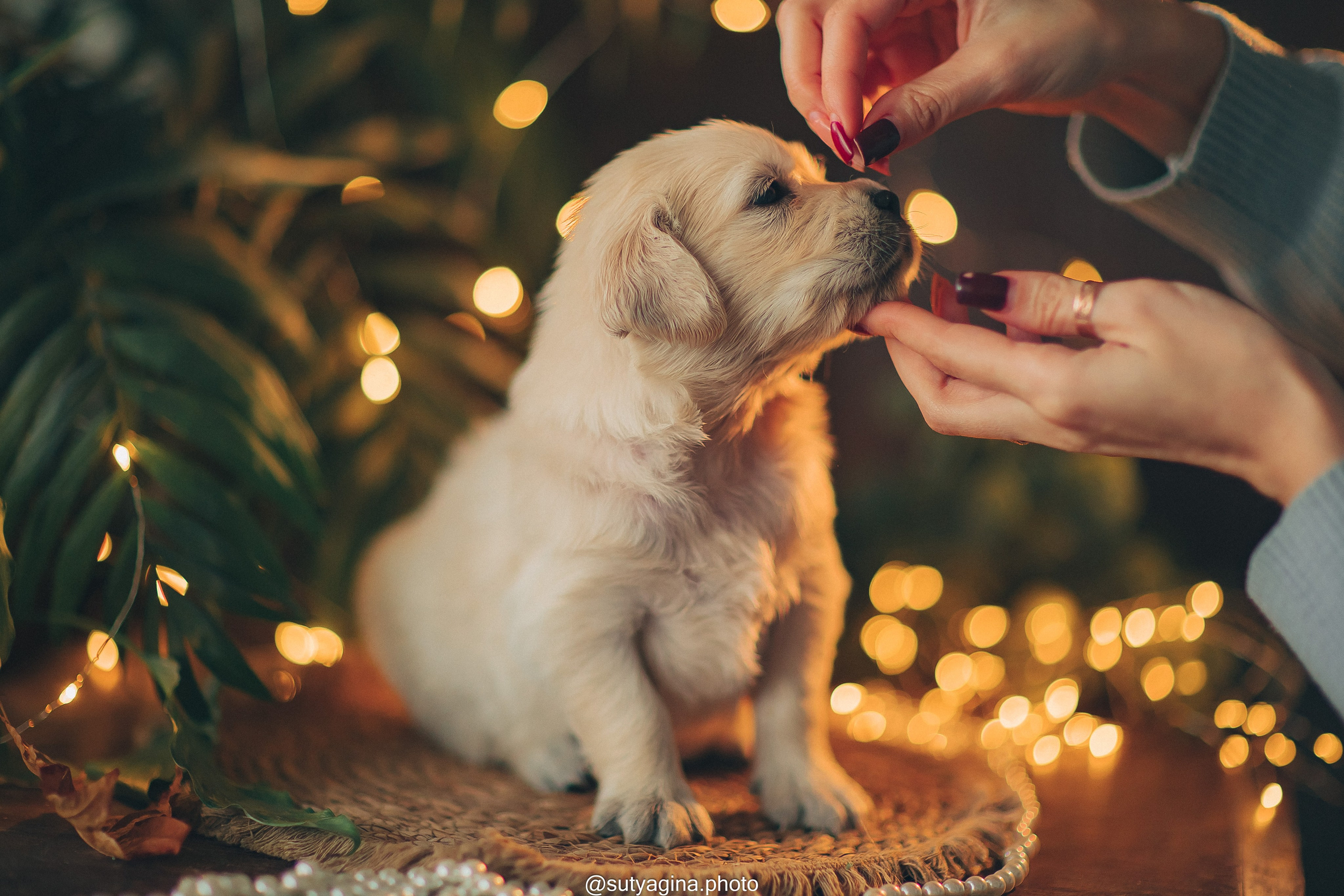 Серая лента. Свадебный и женский фотограф