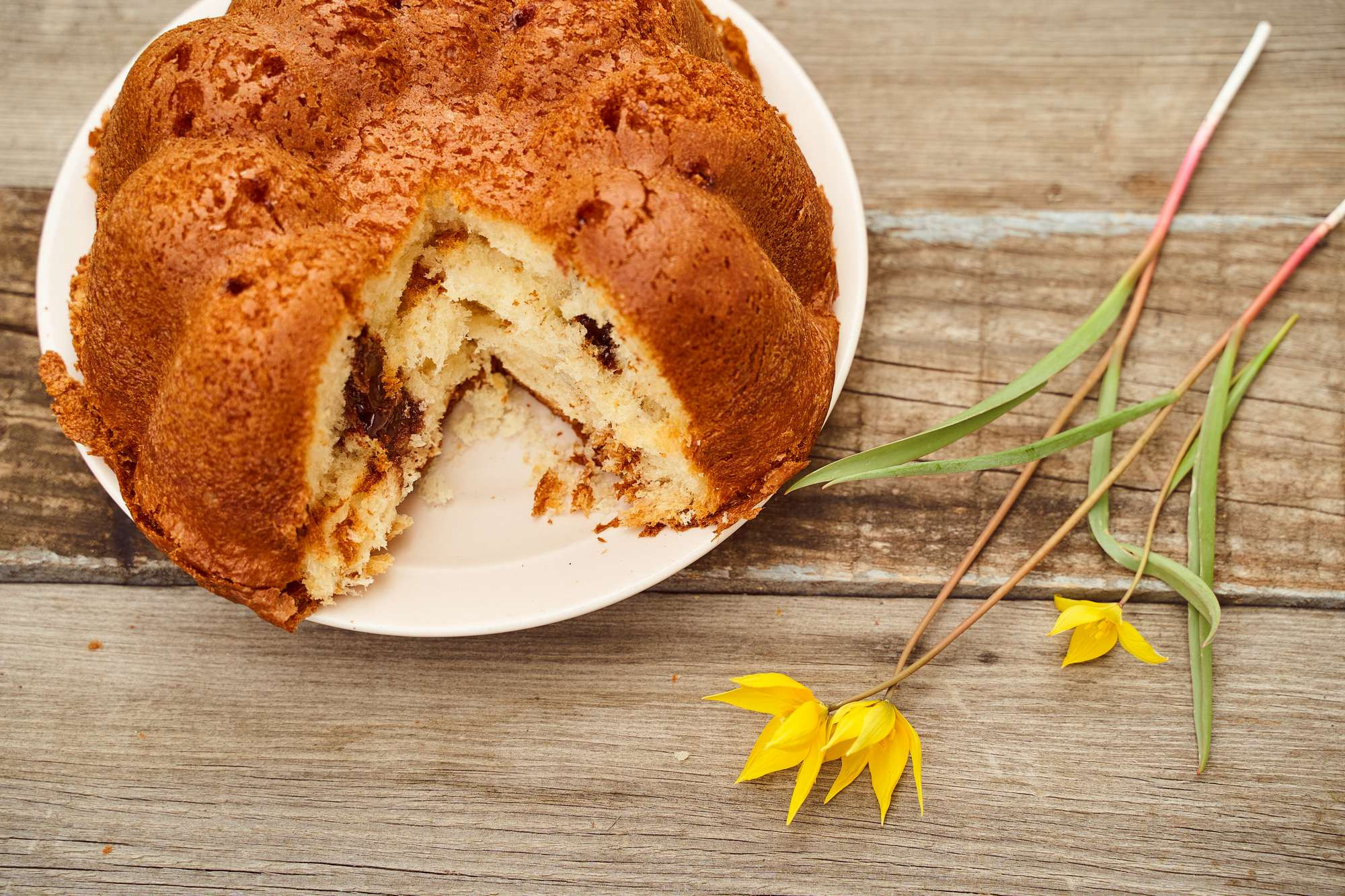 Кекс на даче и кекс дома. Фотограф в Уральске Александр Хохлачёв | HOHLACHEV.COM