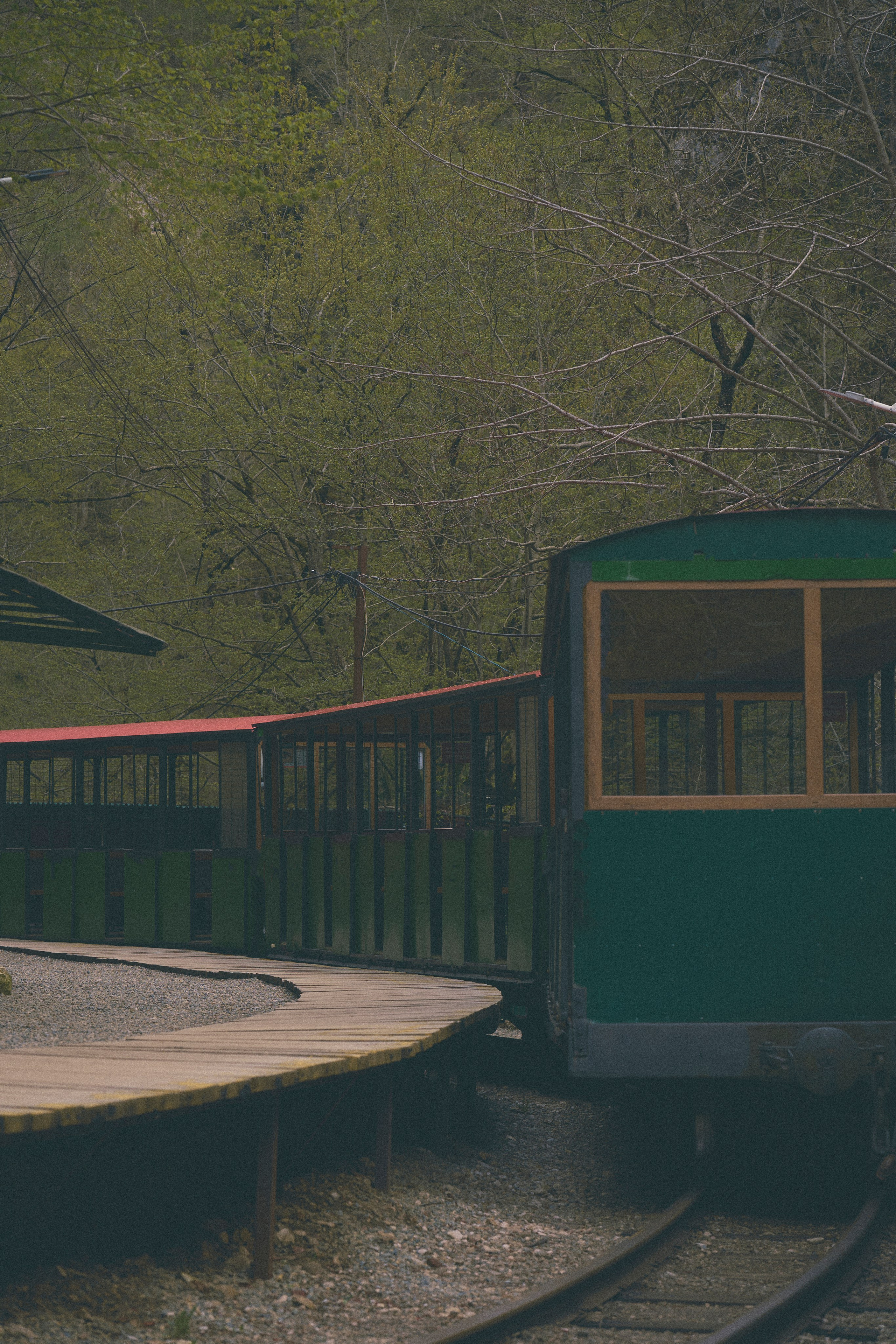 Krasnodar. Гасанова Алина|Фотограф в Санкт-Петербурге