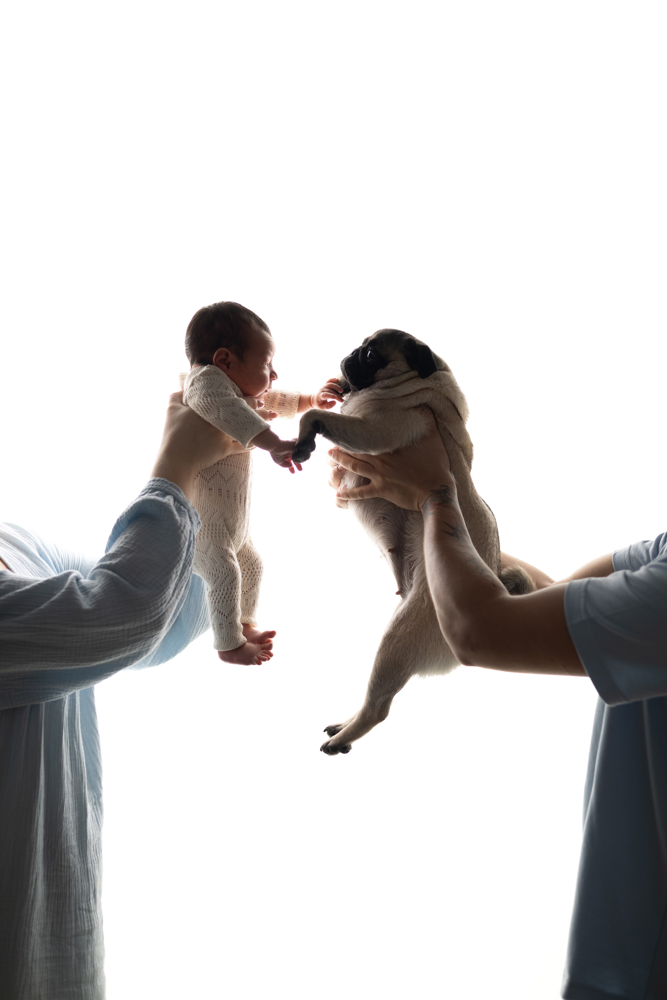 Макар. Лилия Алтухова — фотограф новорожденных в Москве и области