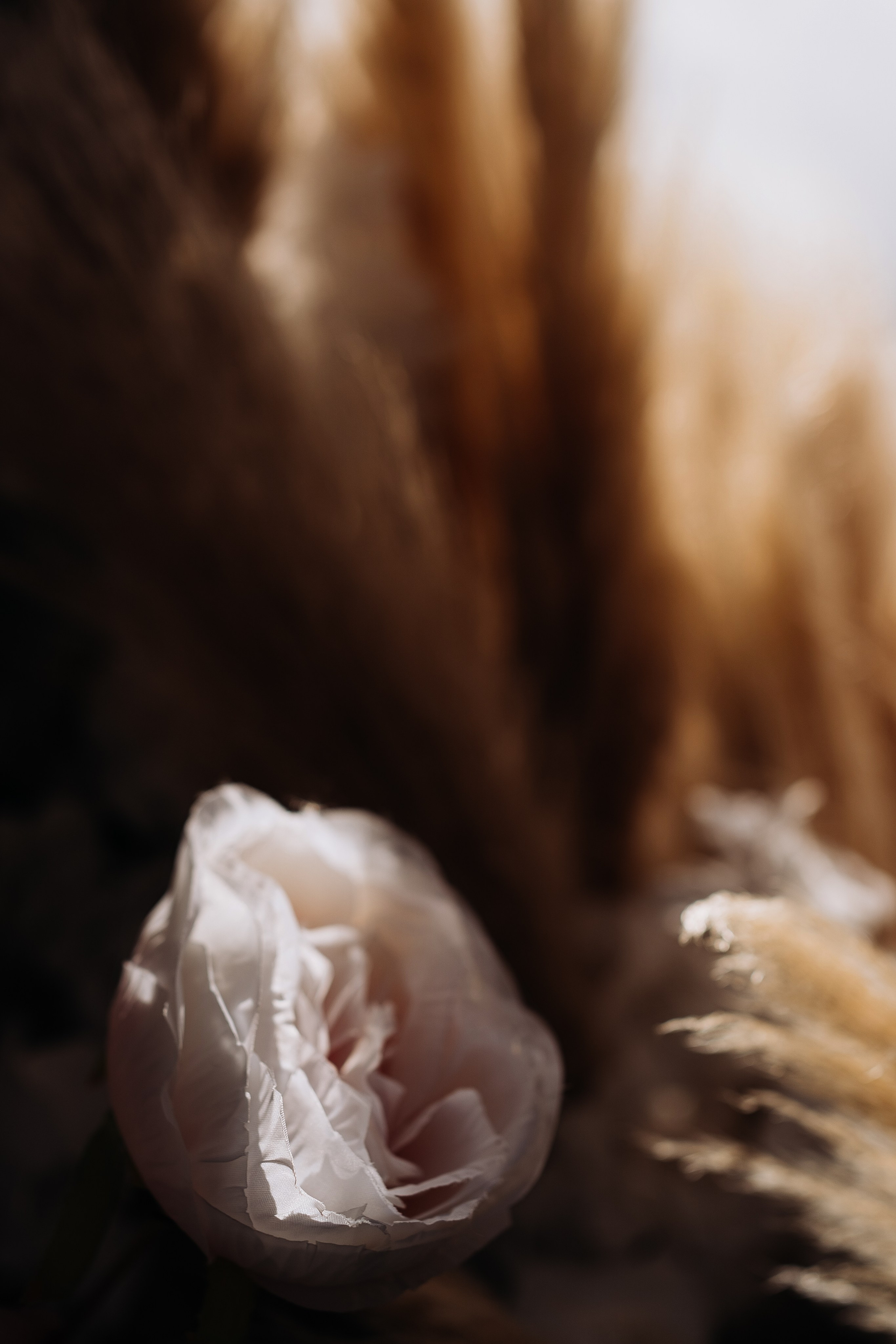 Ярославна и Артём. Фотограф Тверь. Анна Драго