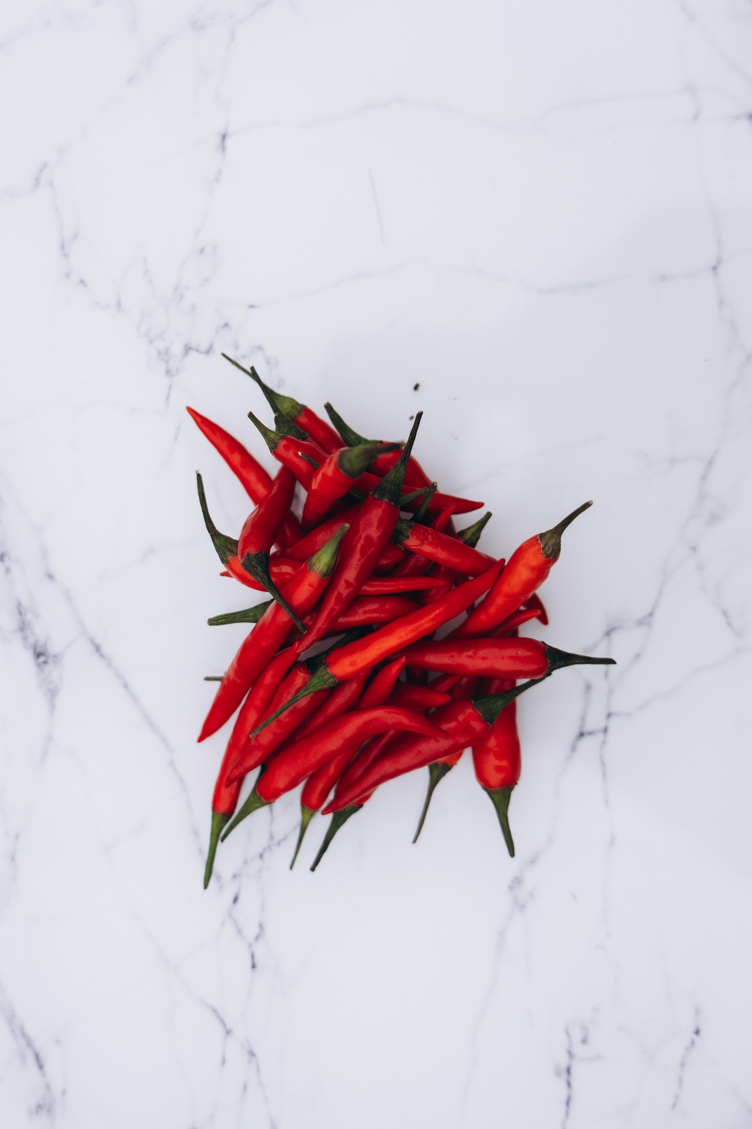 Полина и Лев. Фотограф Артем Бросов в Санкт-Петербурге и Дубае