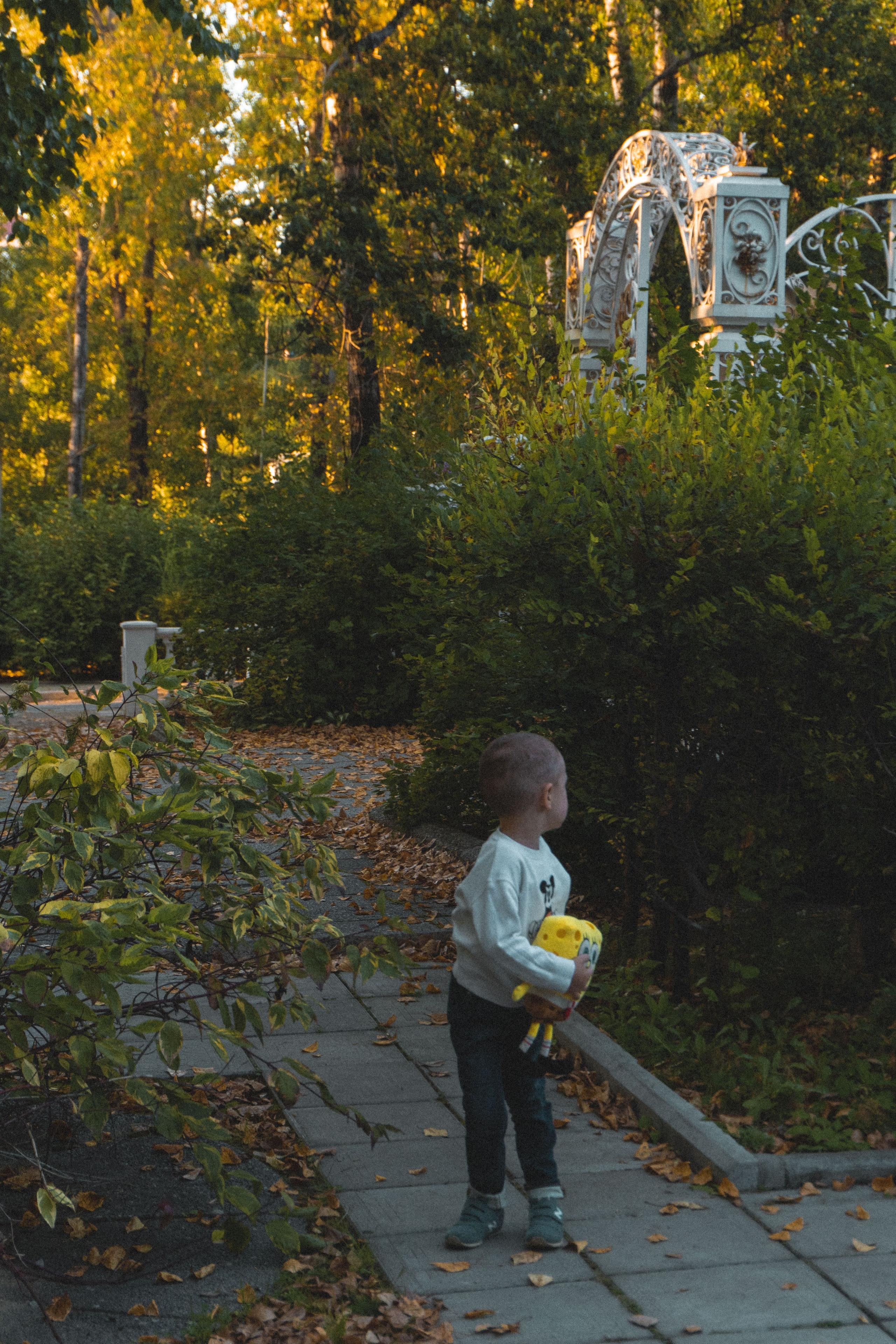 Семейные / беременность. Фотограф Калининград Рита Медведева
