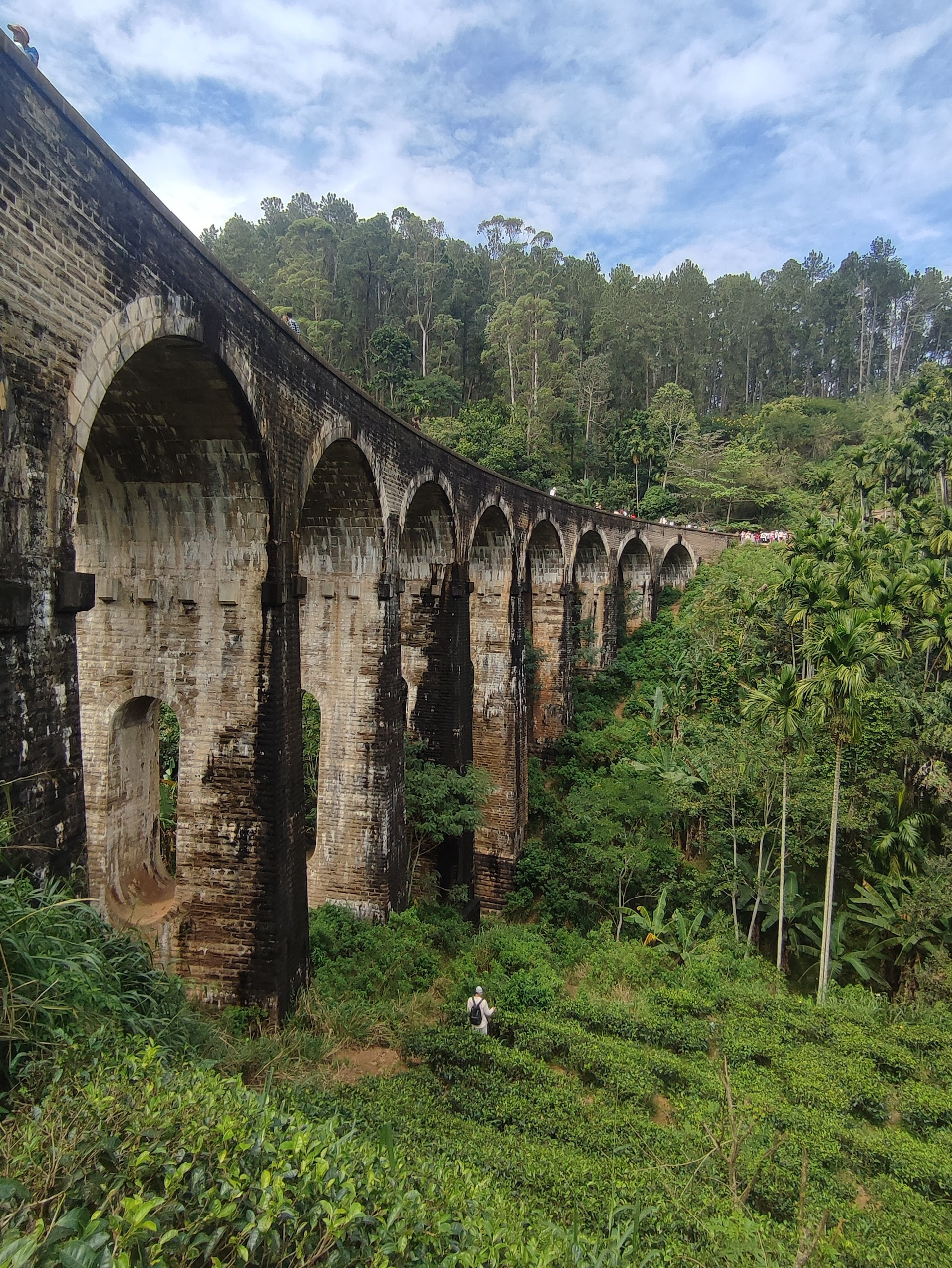 Шри-Ланка | 31.01 — 10.02.2025. Галерея Фантим