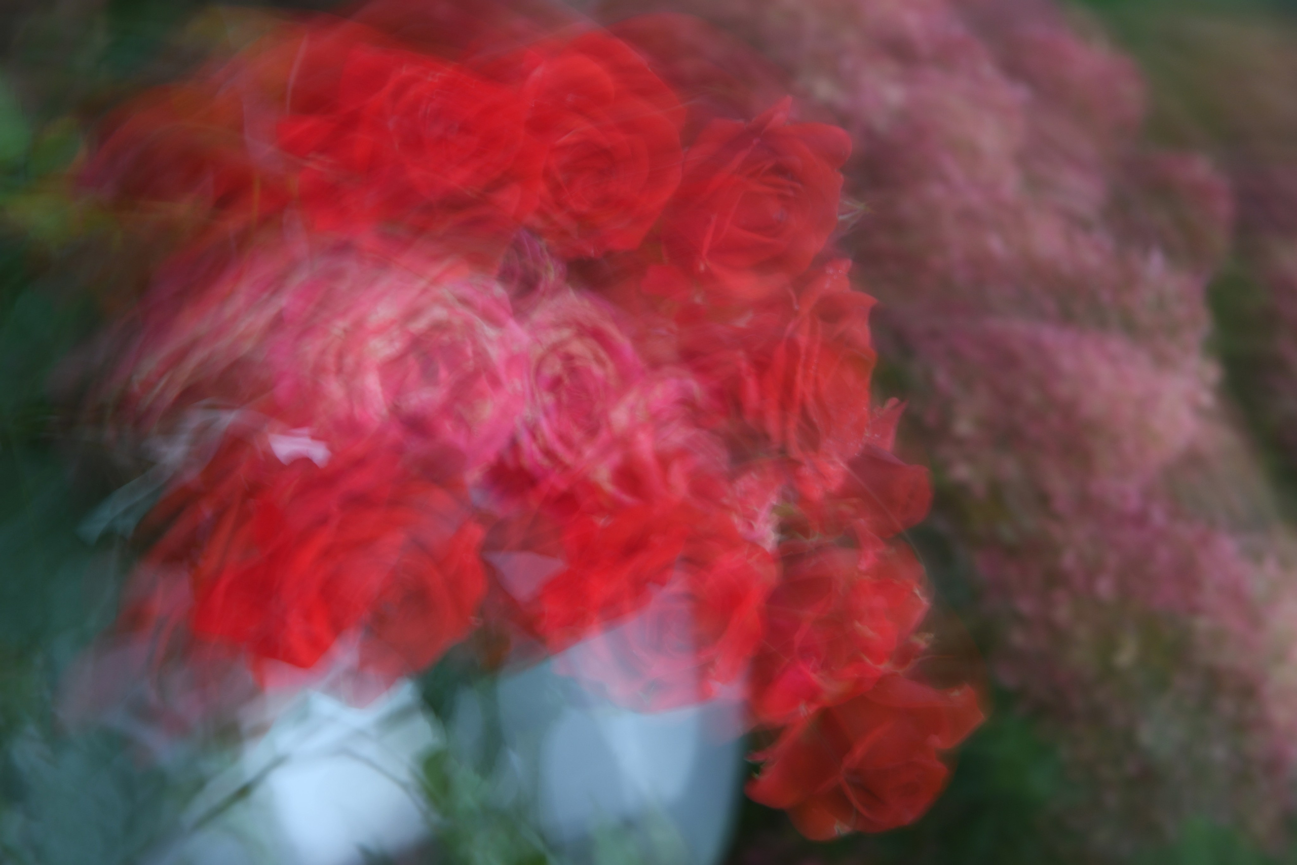 Urban flowers. Арт — фотограф Евгений Наймушин Новокузнецк