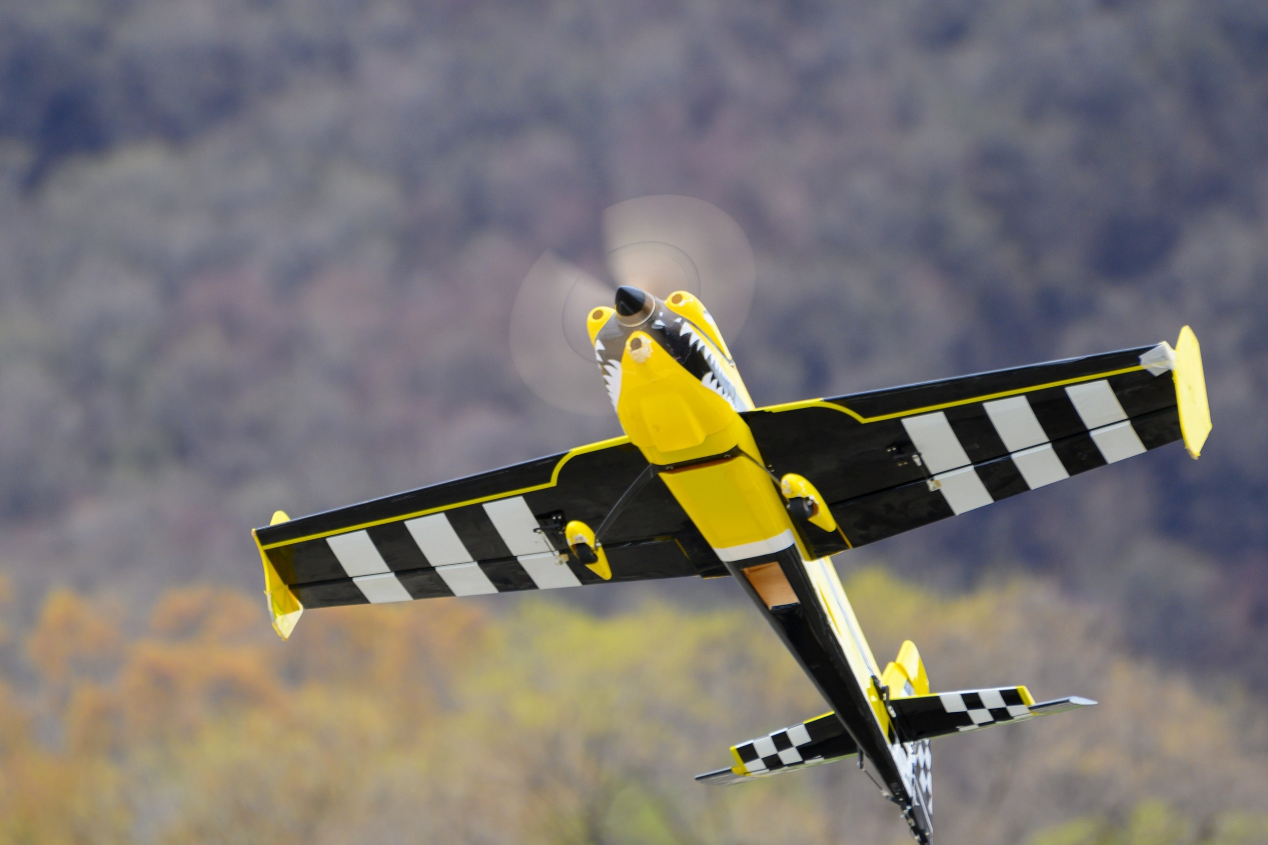 Репортажка. Фотограф в Уссурийске и всем Приморье