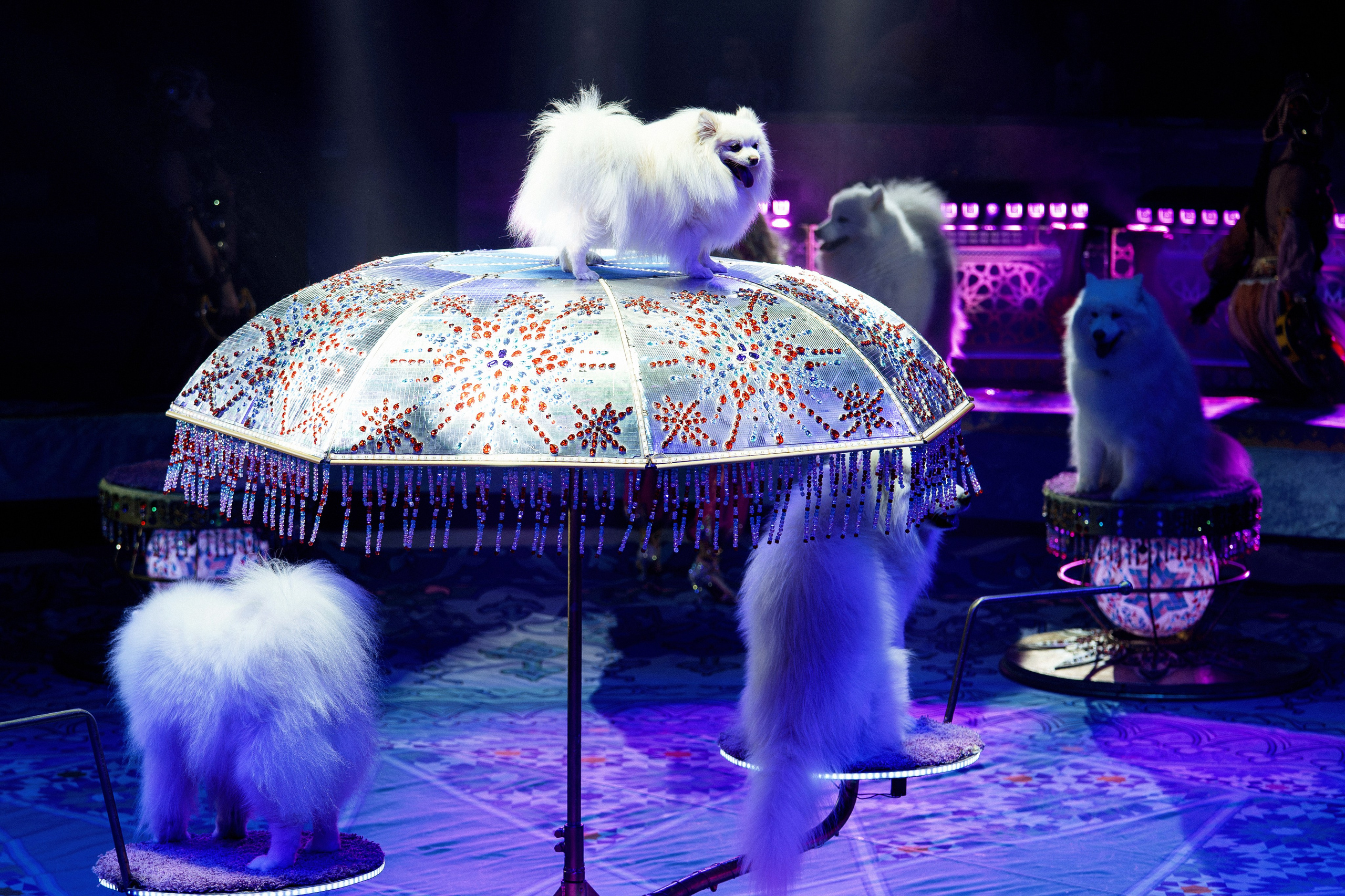 Новое шоу Гии Эрадзе «ПЕСЧАНАЯ СКАЗКА». Фотомастерская Воробьевых