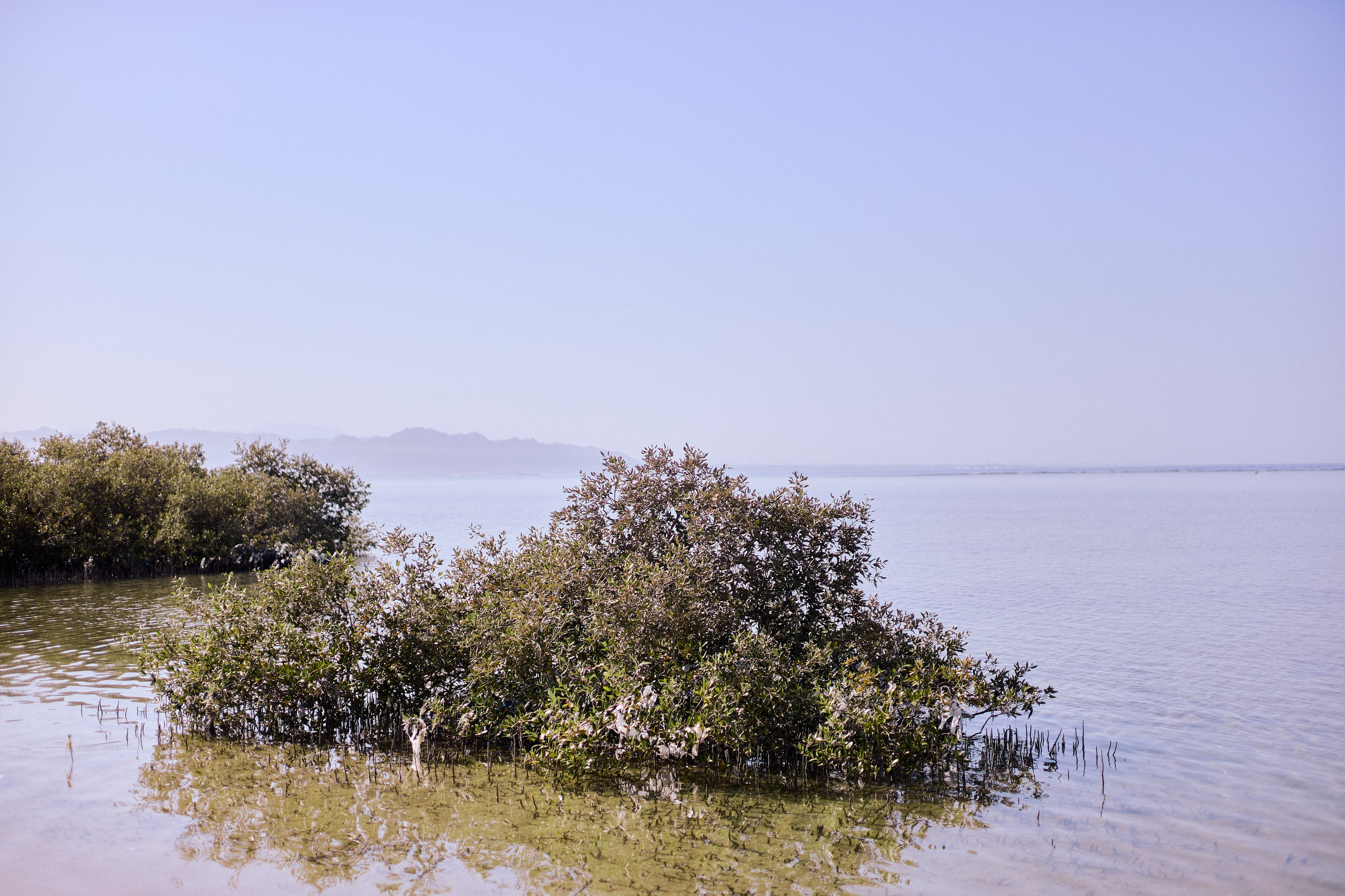 Улица горизонтальная. Jorgis — фотограф в Хургаде / обучение фотографии