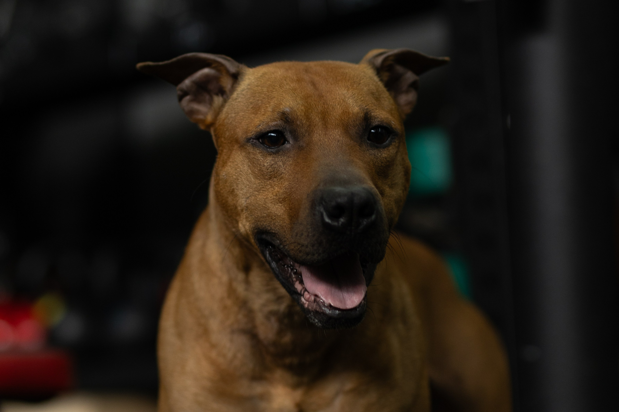 «Bupas gym» Москва 2024. Тренировка в боксерском клубе. Фотограф Алина Ионычева в Новосибирске