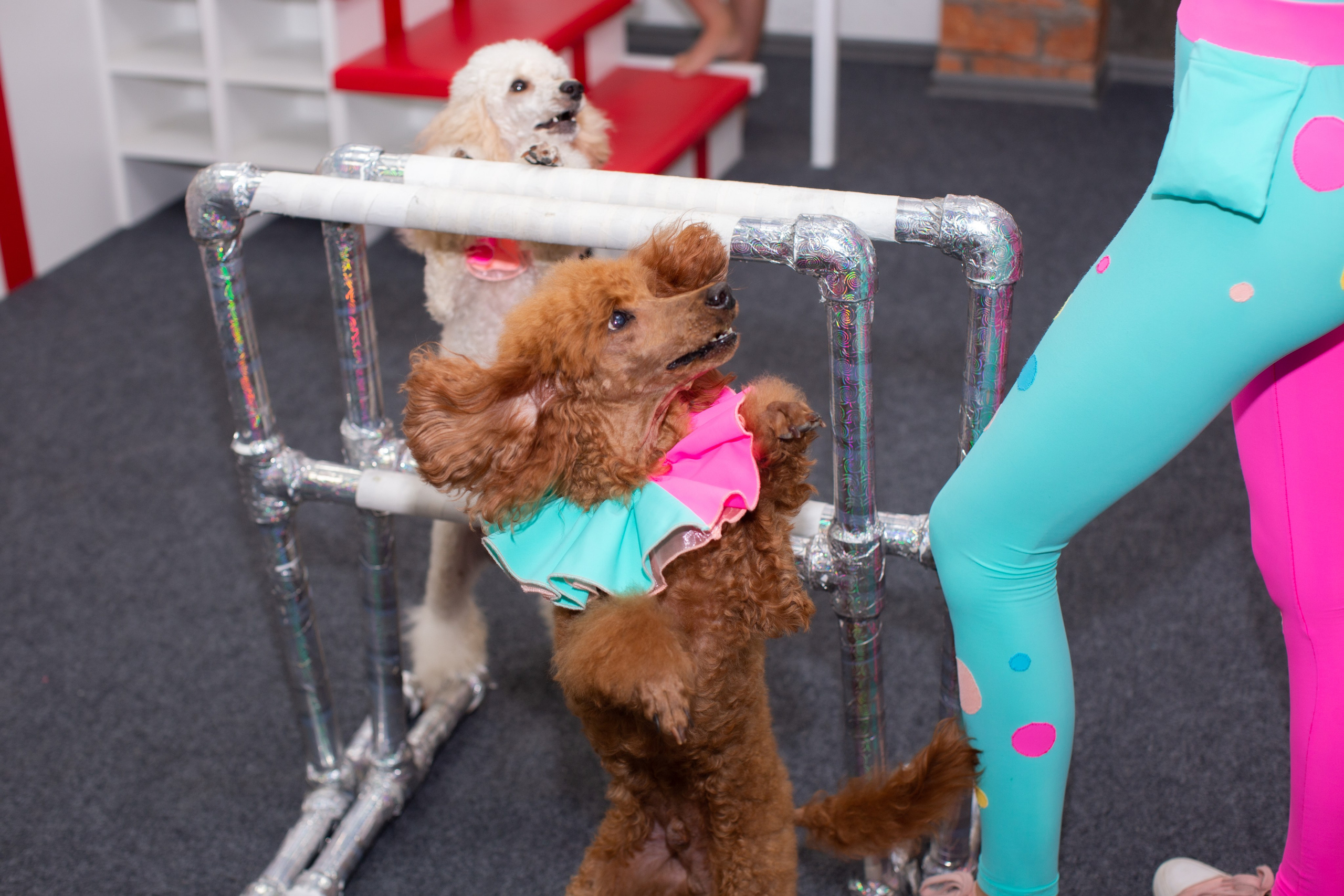 ДЕТСКИЕ ПРАЗДНИКИ, АСЯНДИ. Портретный, свадебный, репортажный фотограф во Владивостоке Юлиана Джули Фокс