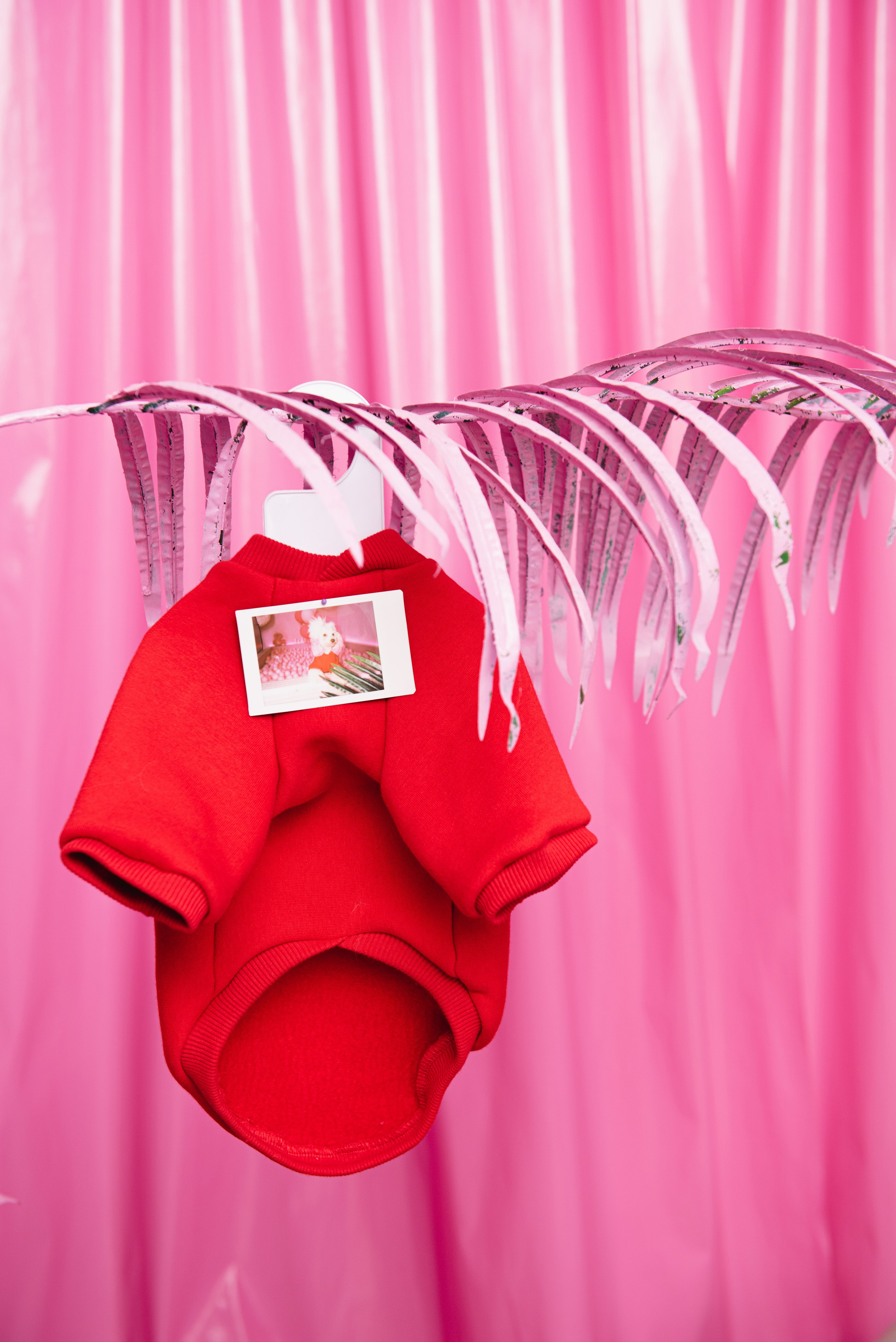 Предметные. Фотограф в Москве Daria Lens