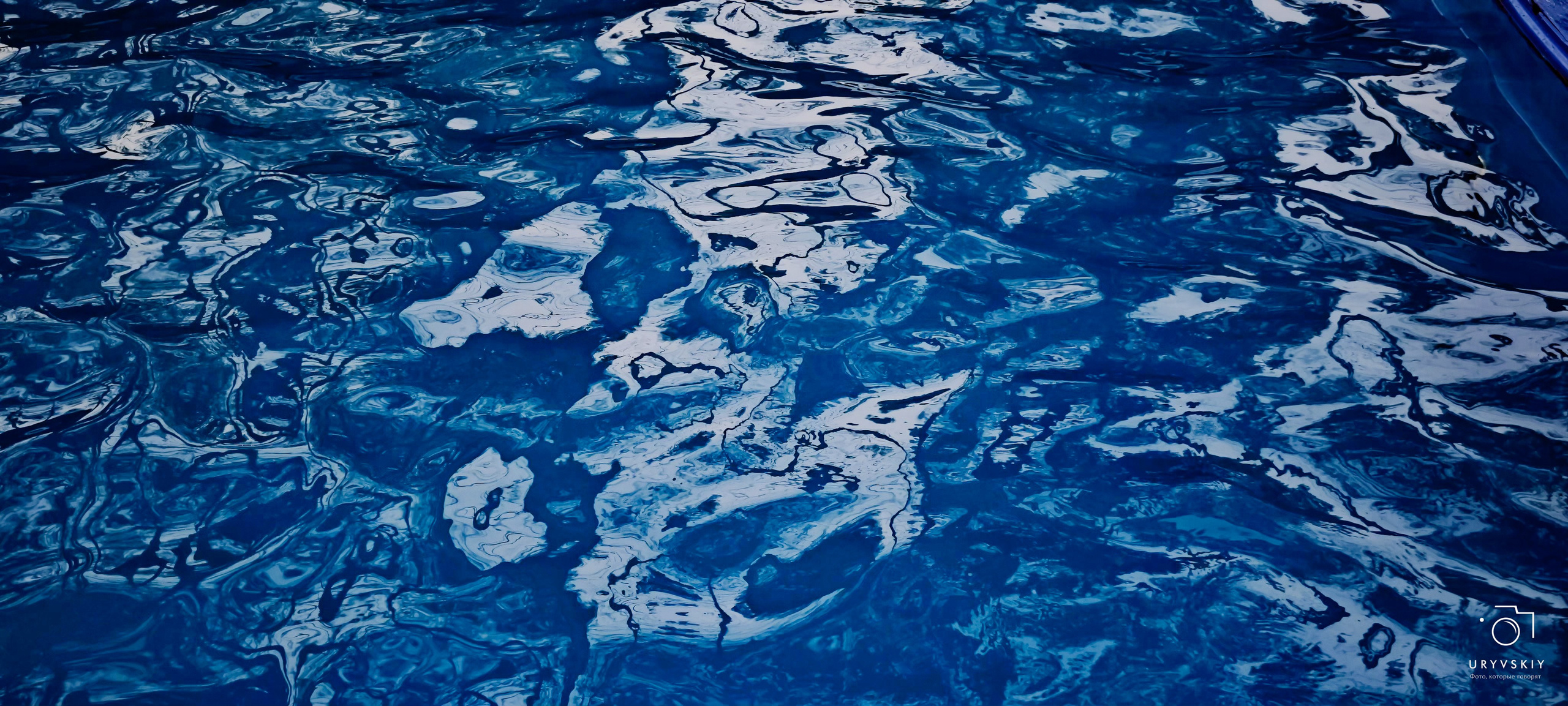 Командор, Хороший. День торговли 2025. Игорь Урывский. Фотограф Красноярск