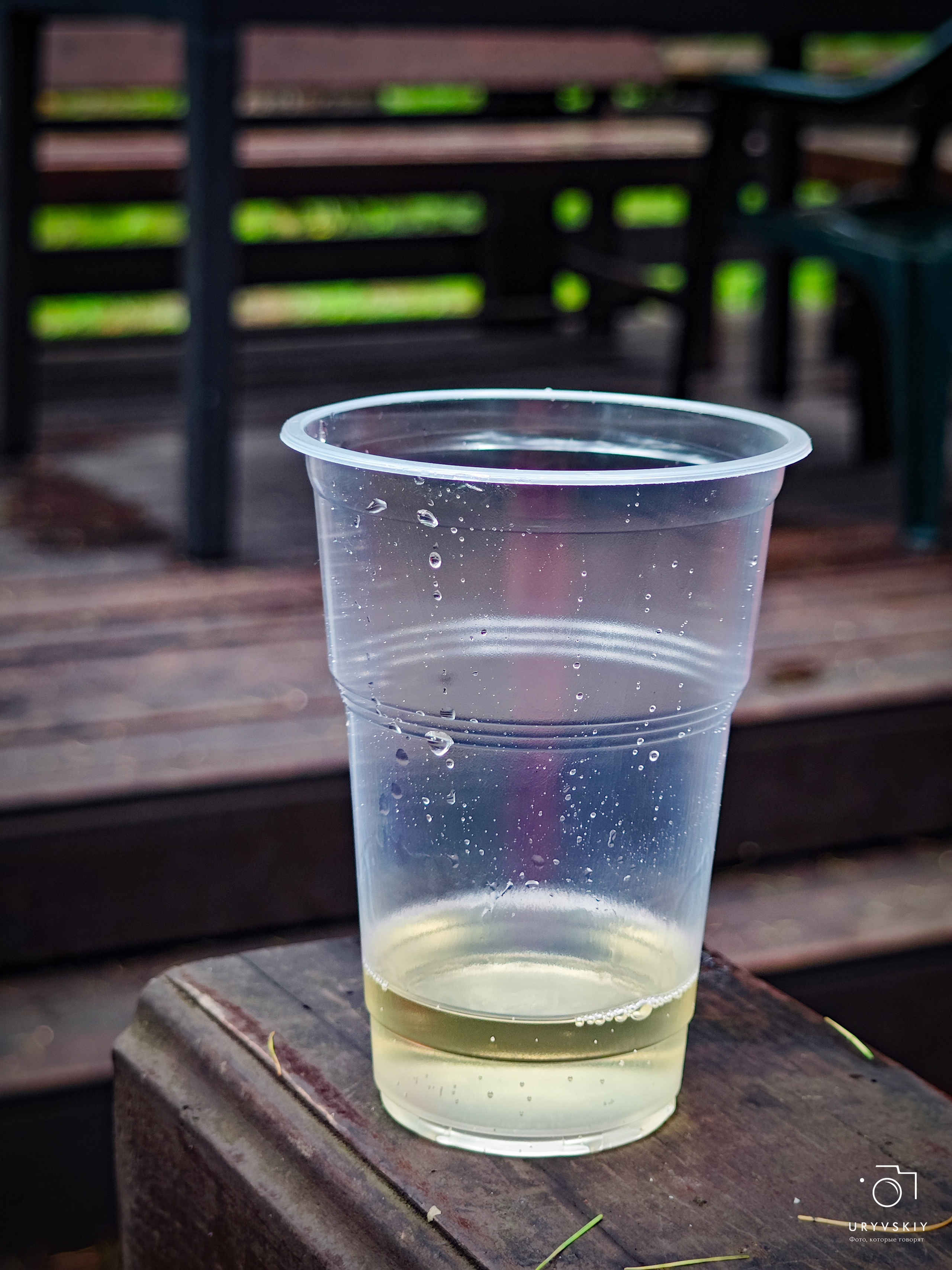 Командор, Хороший. День торговли 2025. Игорь Урывский. Фотограф Красноярск