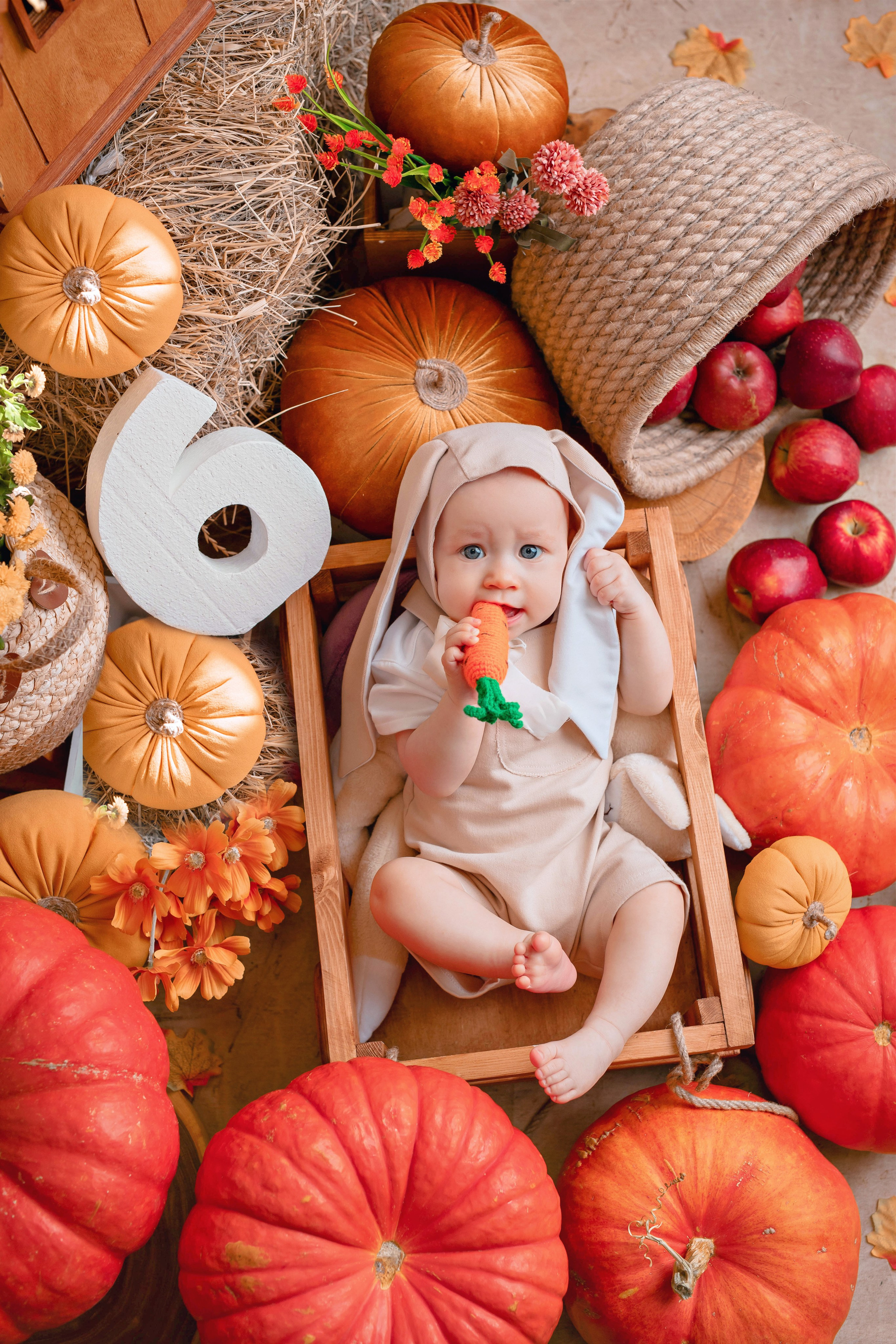 Тыквы. Фотограф Болотова Иветта