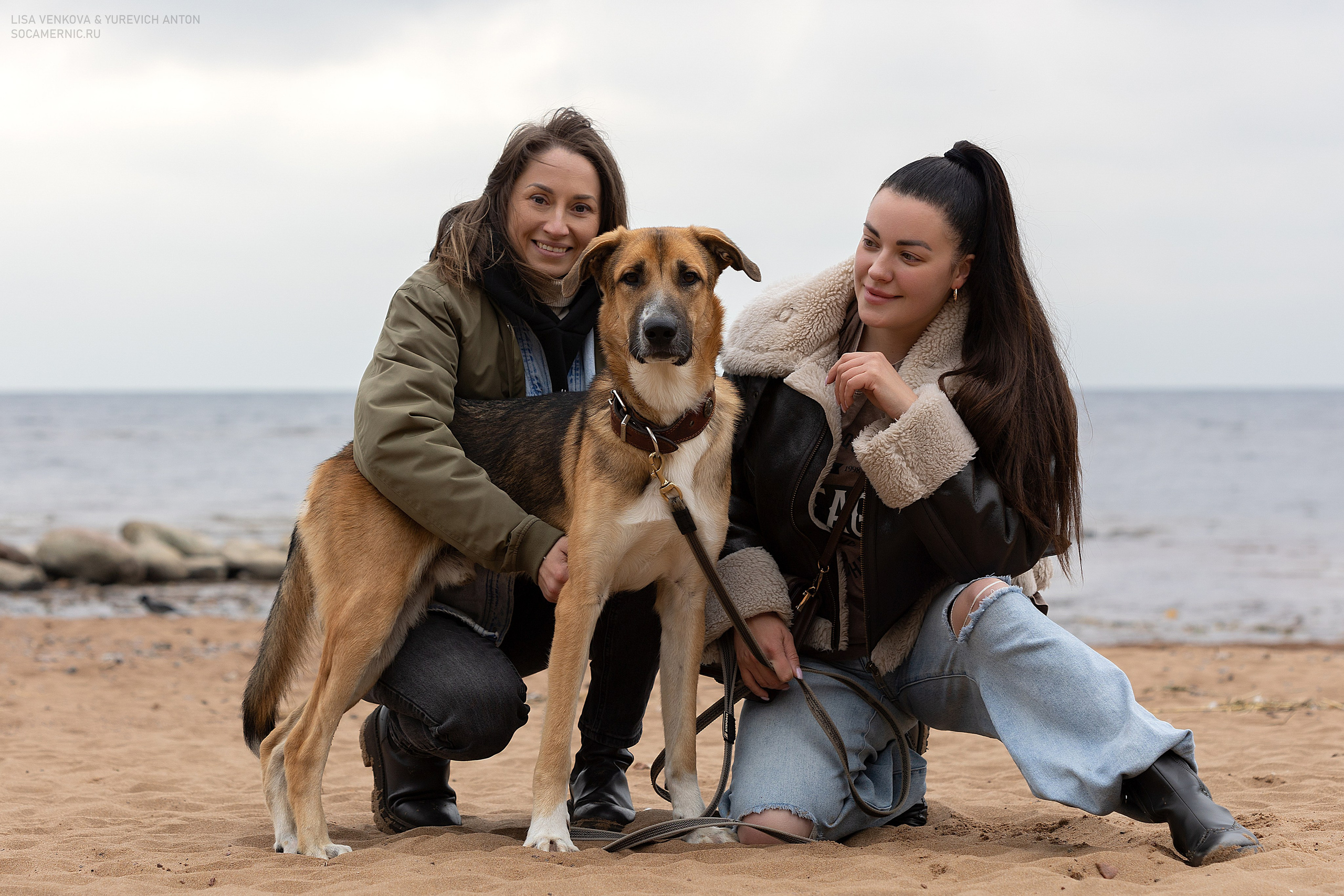 Анималистика