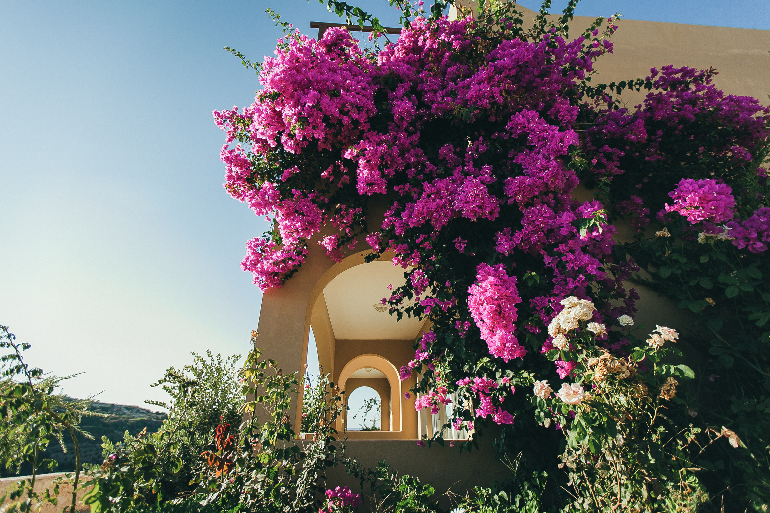 Мирослав и Рената. Свадебный фотограф Элли Федосеева