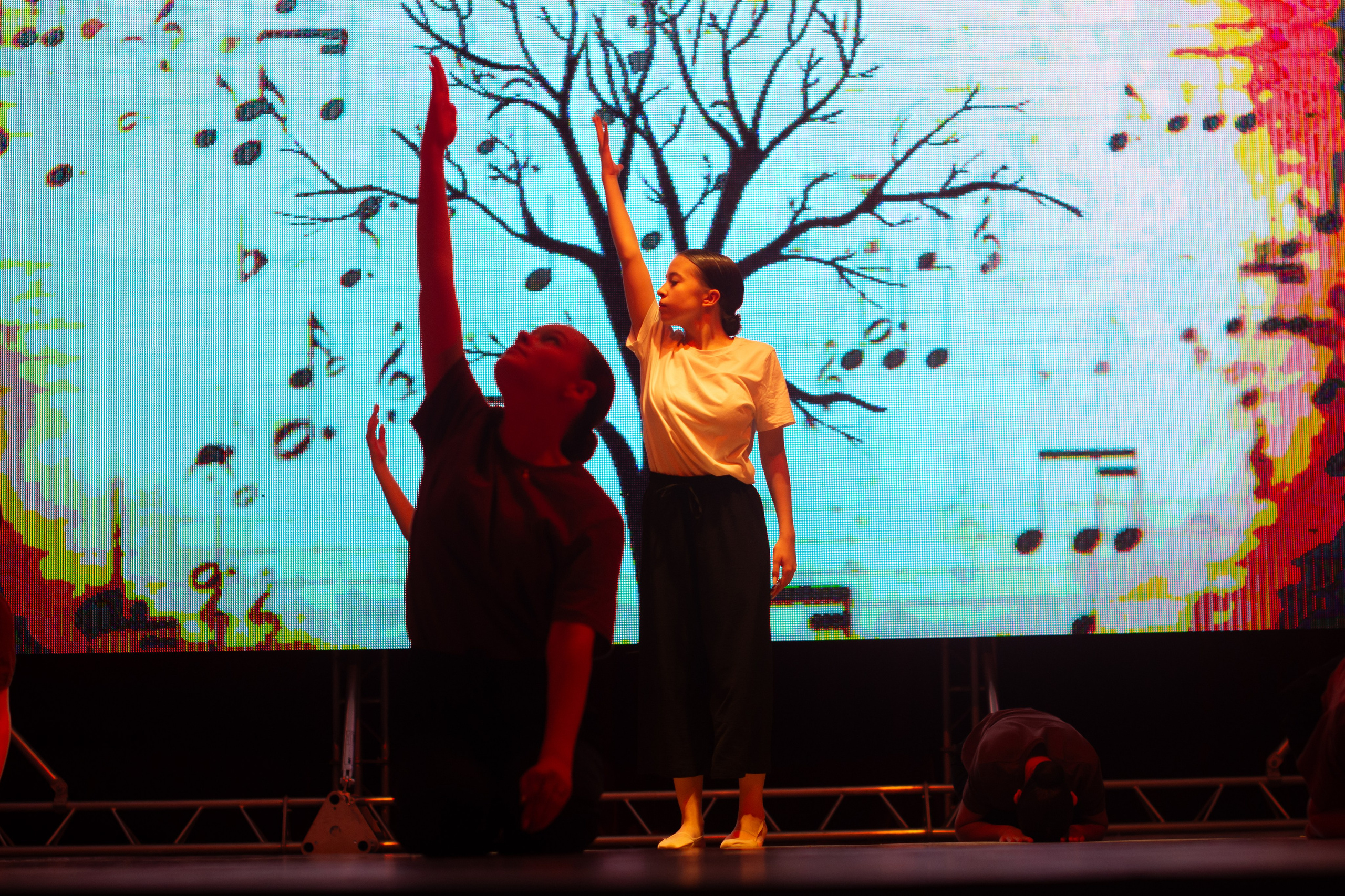 Отчетное выступление NEXT. Evgeniy Roslov