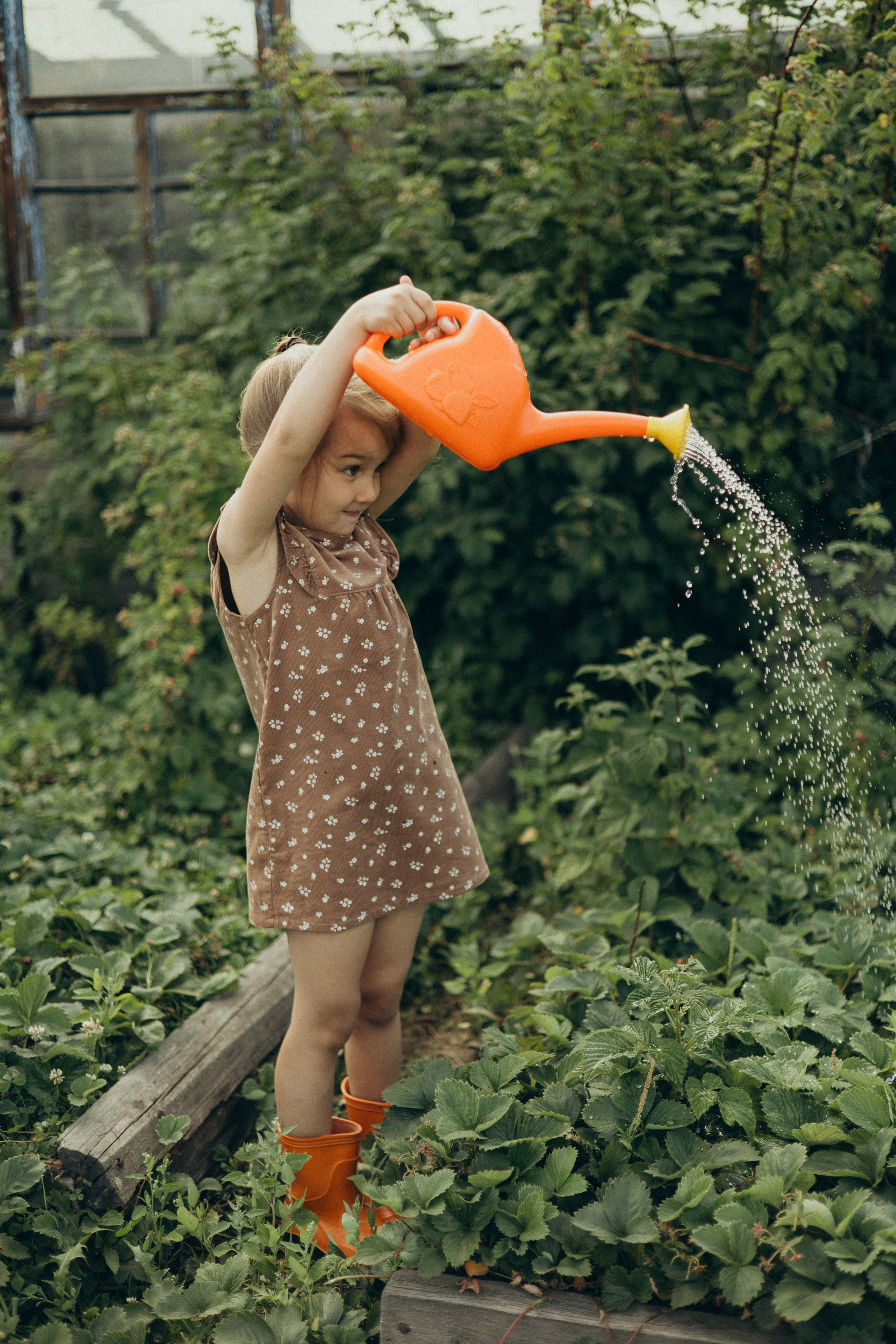 Хорошо в деревне летом…♡. Фотограф в г. Чита